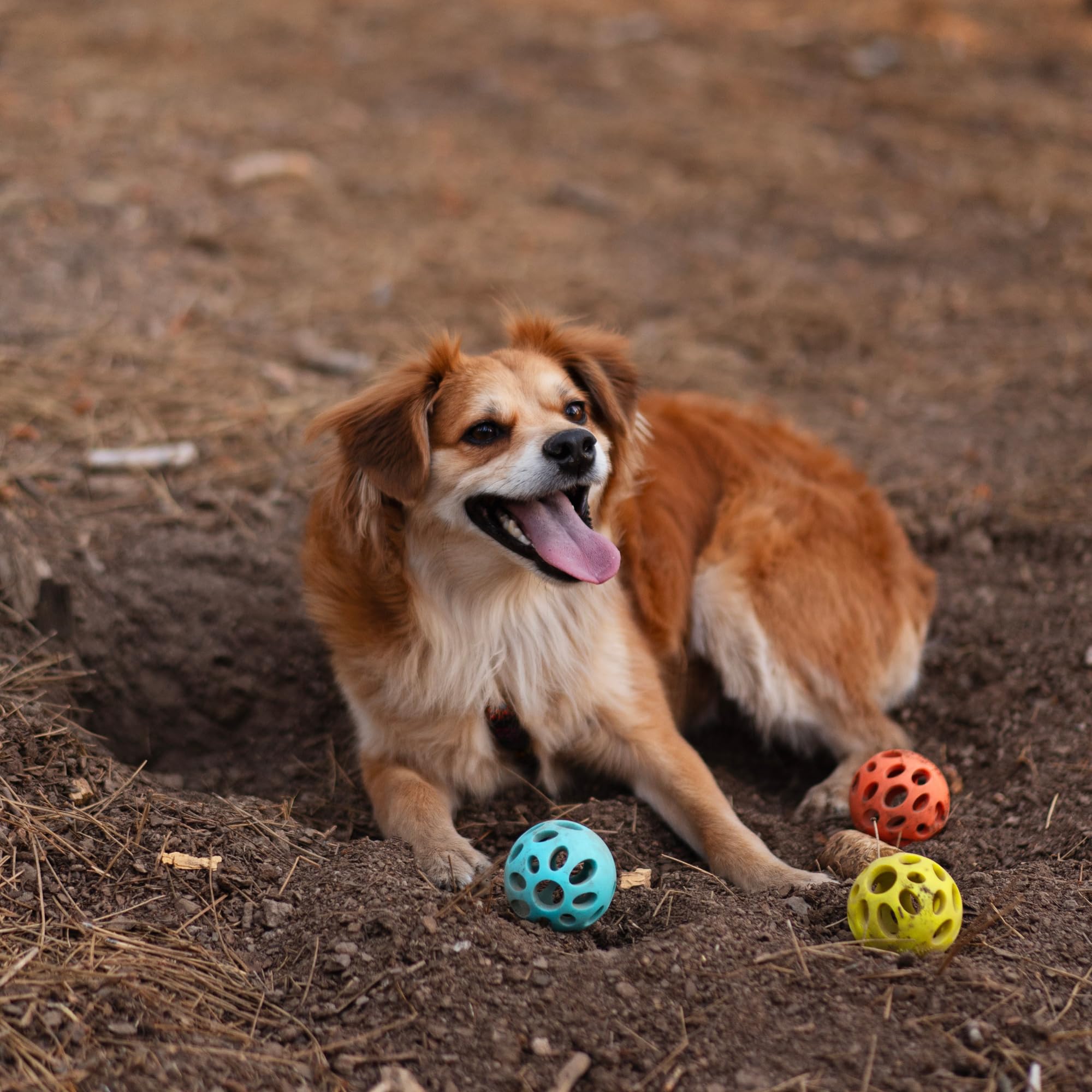 Messy Mutts Totally Pooched Huff'N Puff Ball | 2.5?Tpr Puzzle Ball For Dogs | 2-In-1 Durable Interactive Toy And Tooth Cleaner | Teal