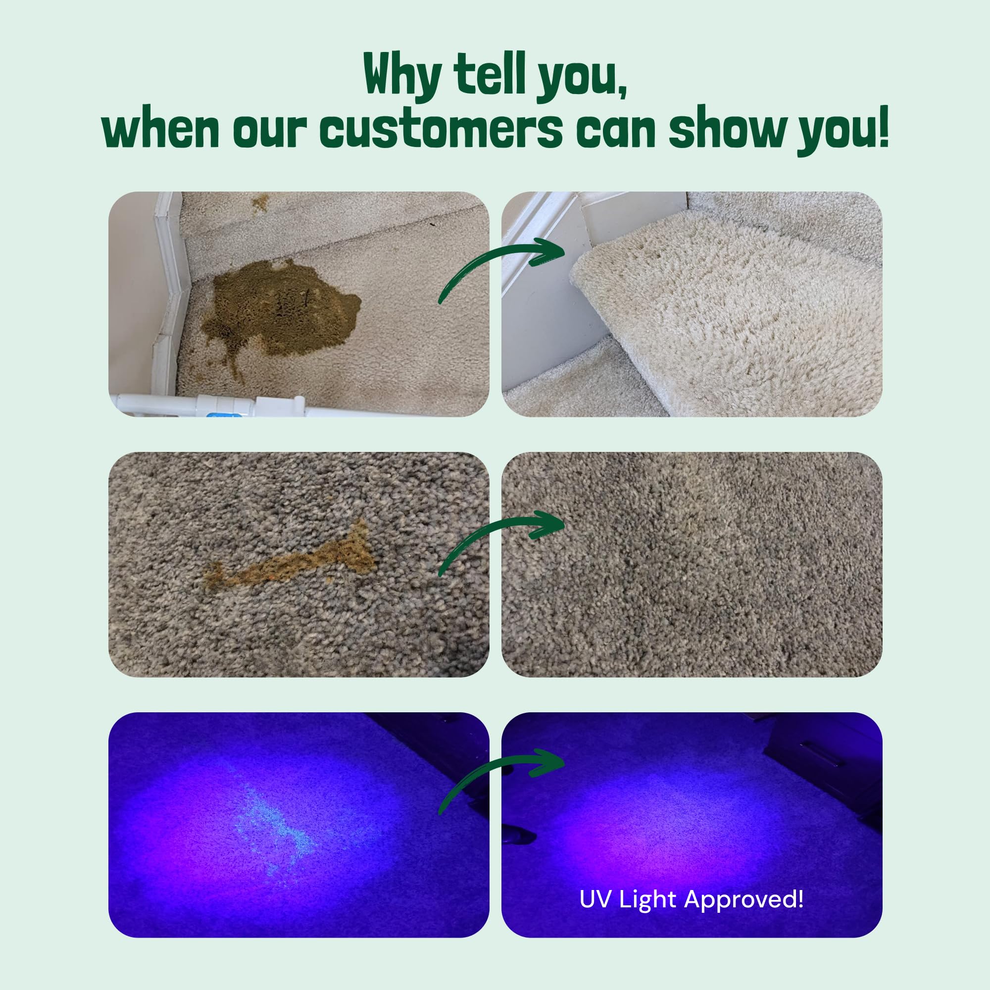 Sunny & Honey Pet Stain & Odor Miracle - Enzyme Cleaner For Dog Urine Cat Pee Feces Vomit, Enzymatic Solution Cleans Carpet Rug Car Upholstery Couch Mattress Furniture, Stain Eliminator (32Fl Oz)