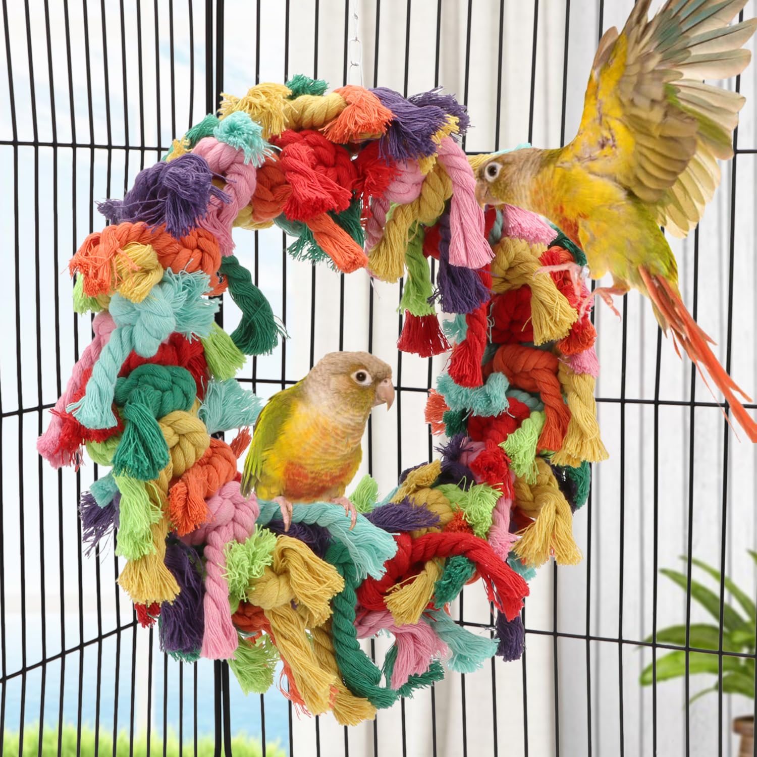 Hypeety Pet Toy Cotton Ring For Parrot Exercise, Chew, Snuggle Bird Toys, 30 Cm / 11.8 In Diameter
