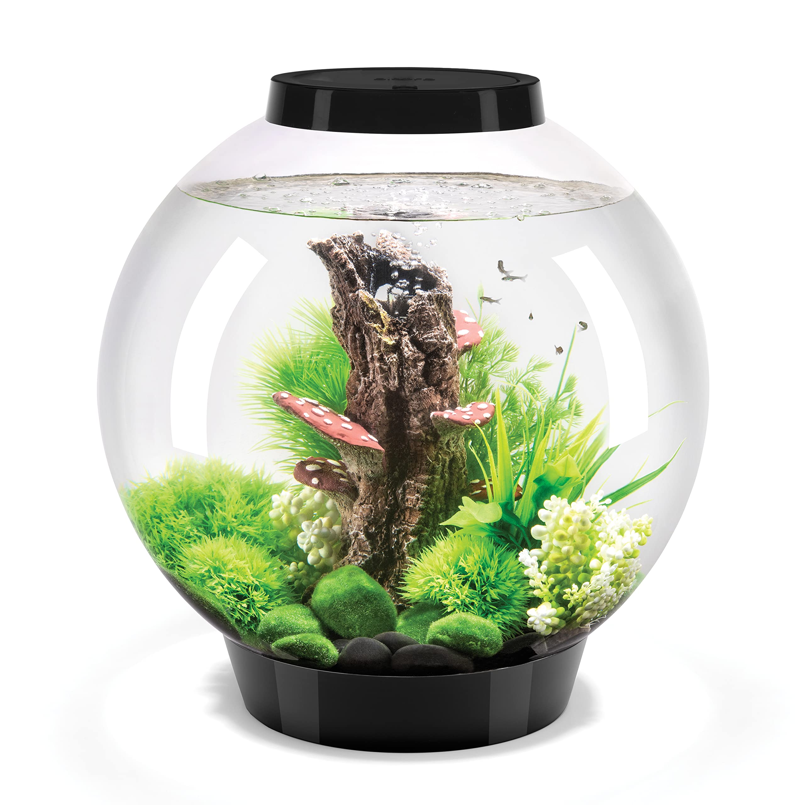 biOrb Classic 30 Acrylic 8-Gallon Aquarium with White LED Lights Modern Tank for Tabletop Display, Black
