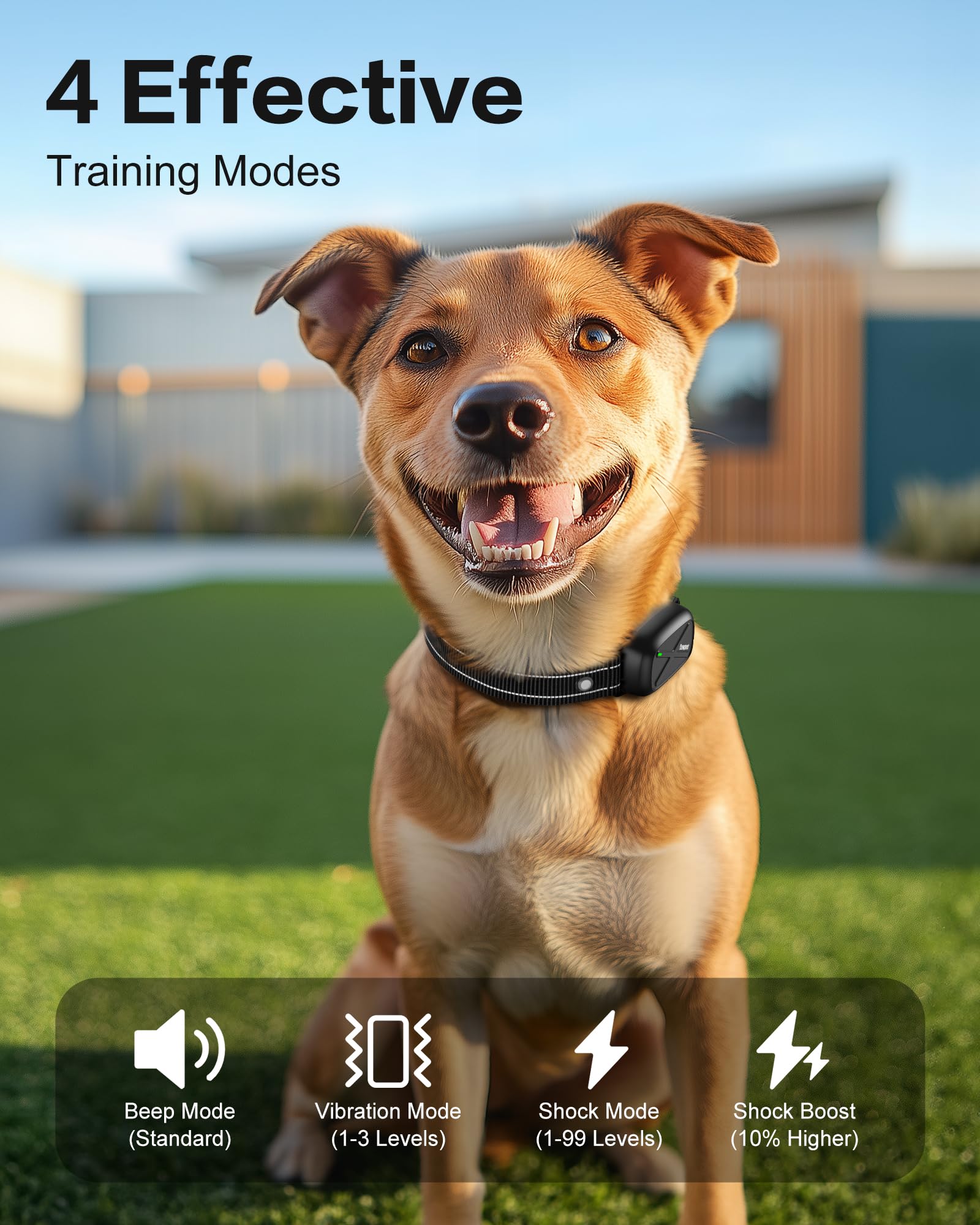 Dog Shock Collar With Remote - Dog Training Collar Waterproof, Rechargeable E Collar For Dogs Training With Vibration, Electric