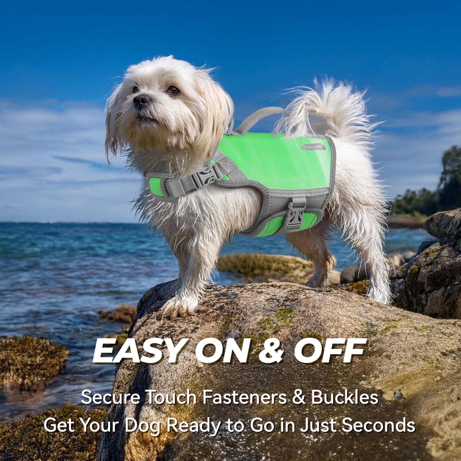 Vivaglory Neoprene Dog Life Jacket Puppy Life Jacket For Boating Hunting & Swimming, Lightweight With Leash Ring, Xs, Grape Gree