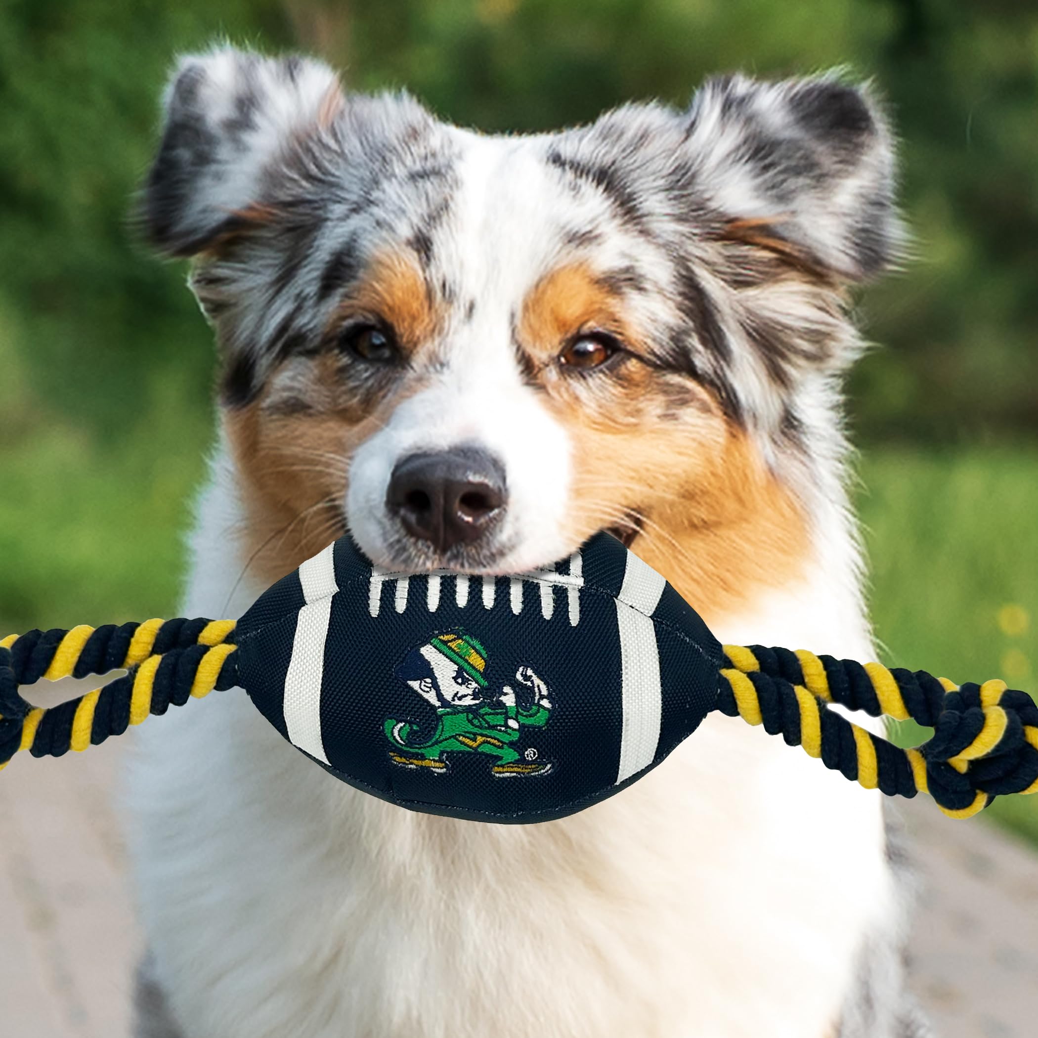 Pets First Notre Dame Football Dog Toy - Tough Nylon, Strong Pull Ropes, Inner Squeaker, One Size, Collegiate Team Color