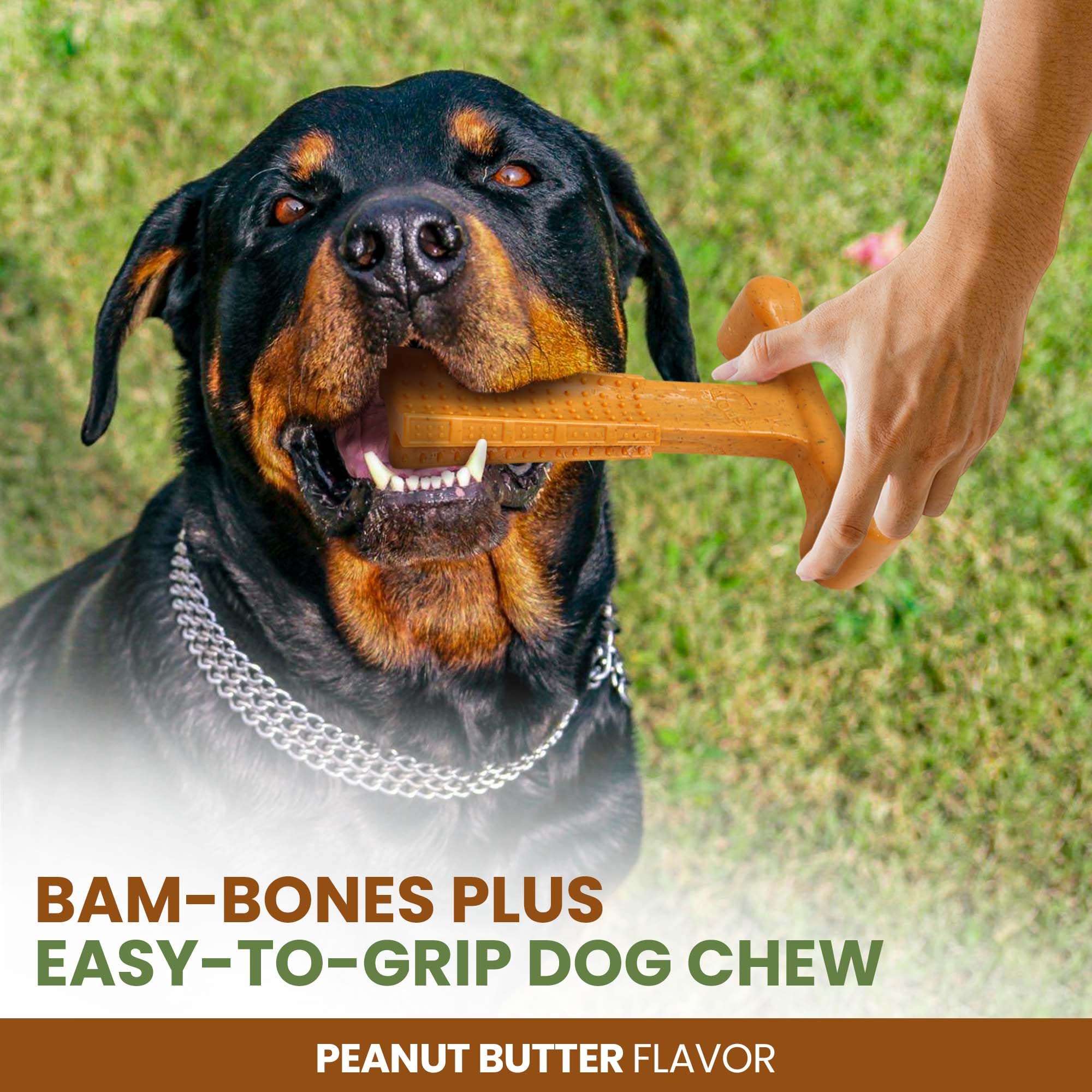 Spot Bam-Bones Plus T Bone - Bamboo Fiber & Nylon, Durable Long Lasting Dog Chew For Aggressive Chewers – Toy For Dogs & Puppies Under 90Lbs, Non-Splintering, 7In, Allergen Free Peanut Butter Flavor