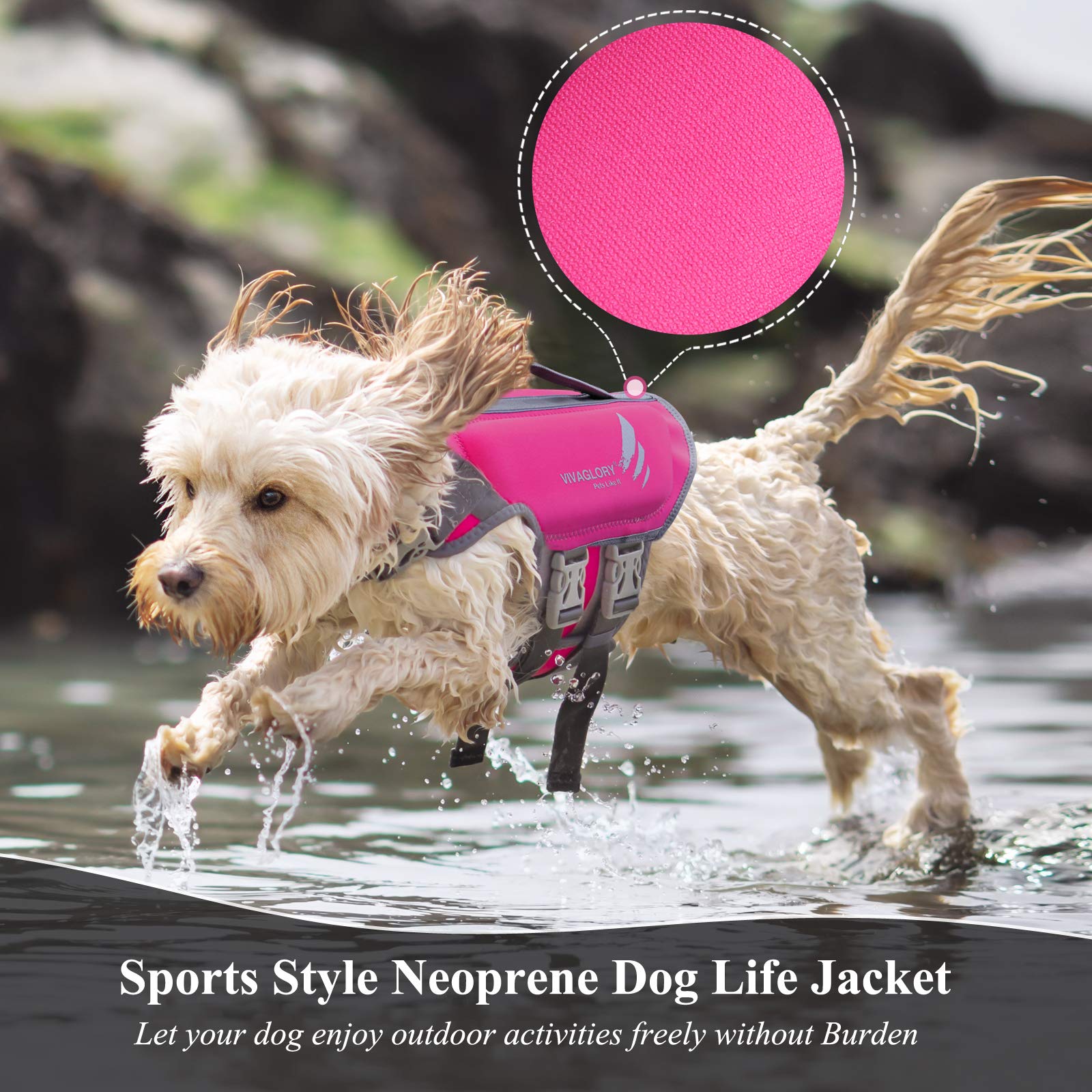 Vivaglory Lightweight Dog Life Jacket, Pet Preserver Vest, Skin-Friendly Neoprene For Small Dogs With D-Ring And Quick Release B