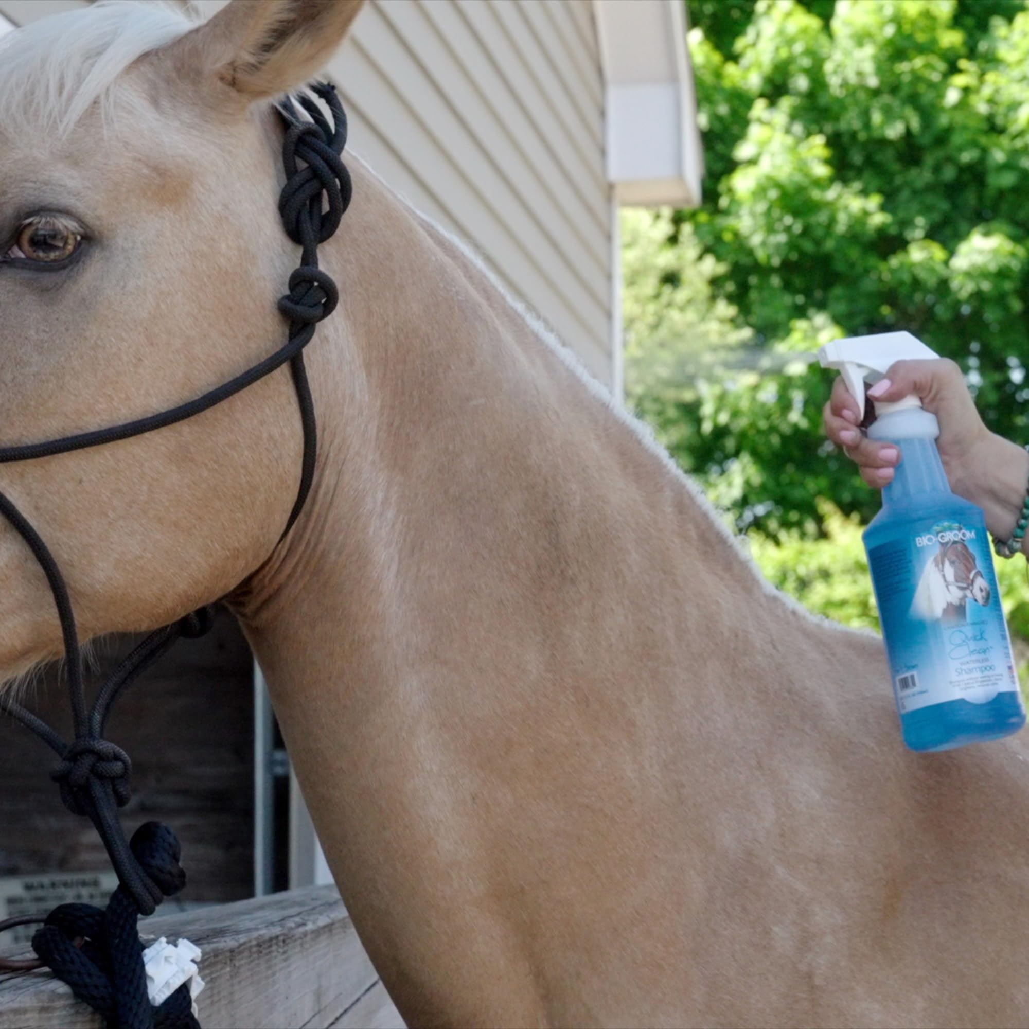 Bio-Groom Waterless Horse Shampoo - Dry, Quick Clean, Mane And Tail Shampoo For Horses, Grooming Supplies, Pet Shampoo Spray Cruelty-Free, Made In Usa - 32 Fl Oz 1-Pack