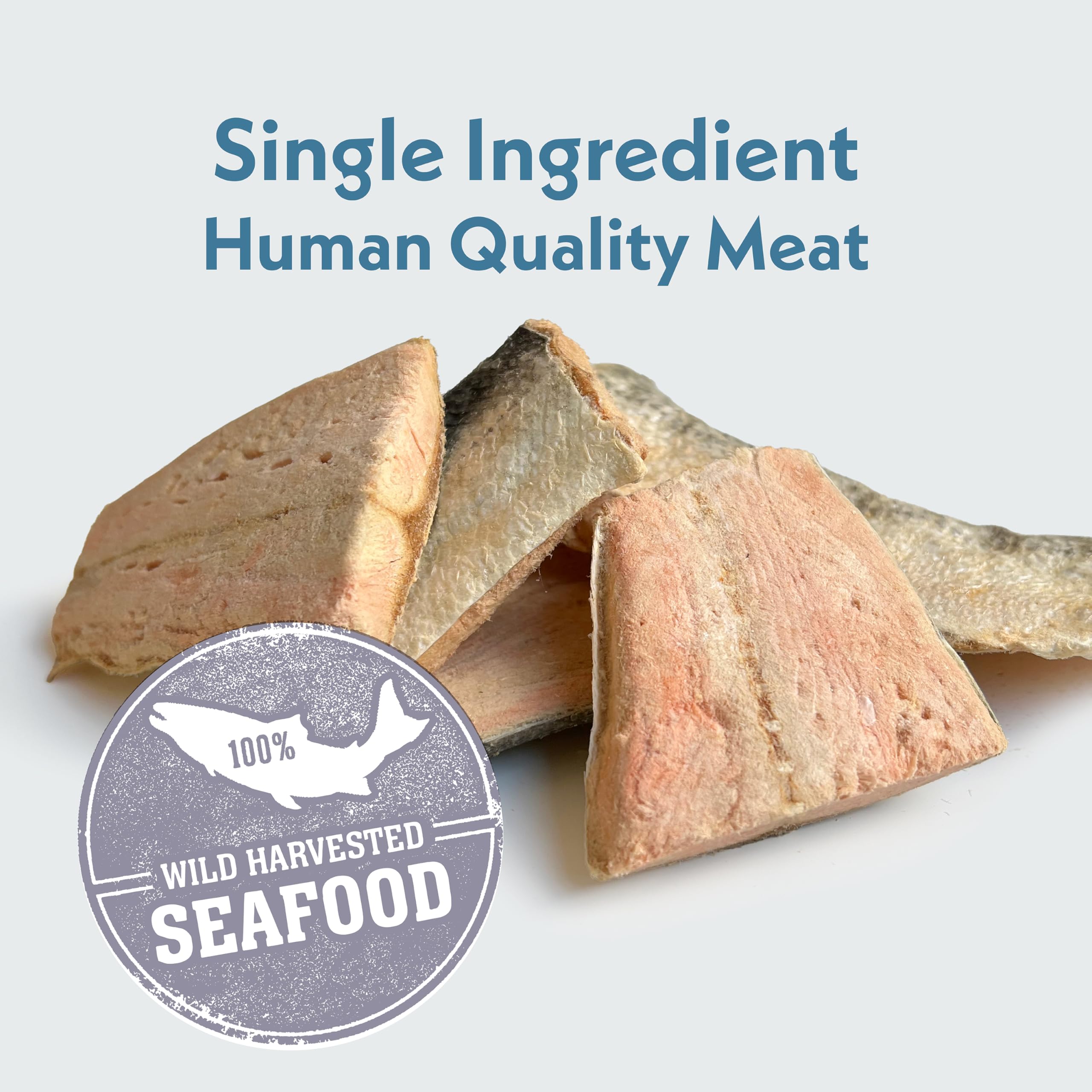Fresh Is Best - Freeze Dried Healthy Raw Meat Treats for Dogs & Cats - Wild Salmon Fillets