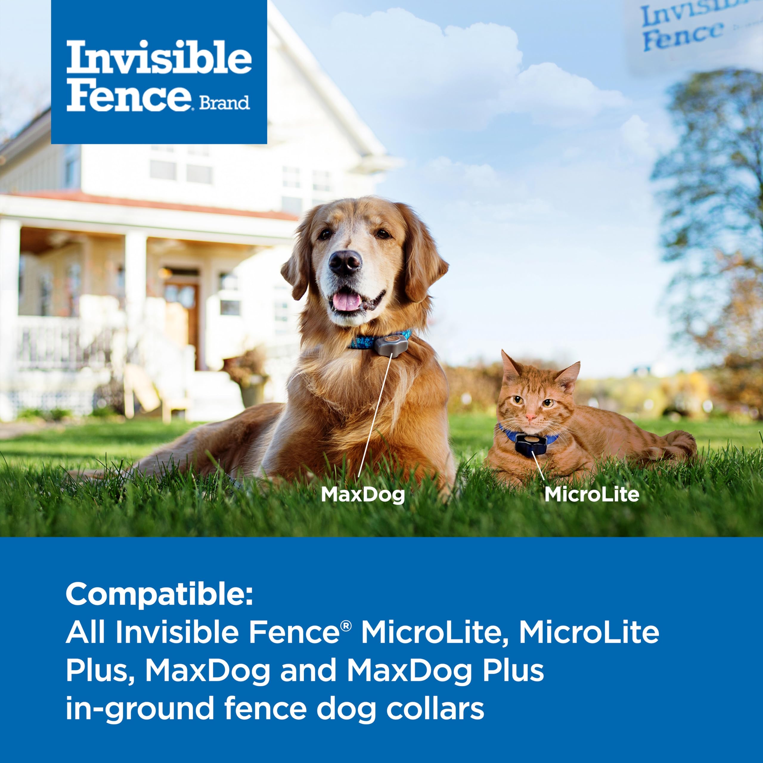 Invisible Fence Power Cap Battery Replacement for Electric Dog Collars, Model RAC00-17754, 1 Pack, Grey
