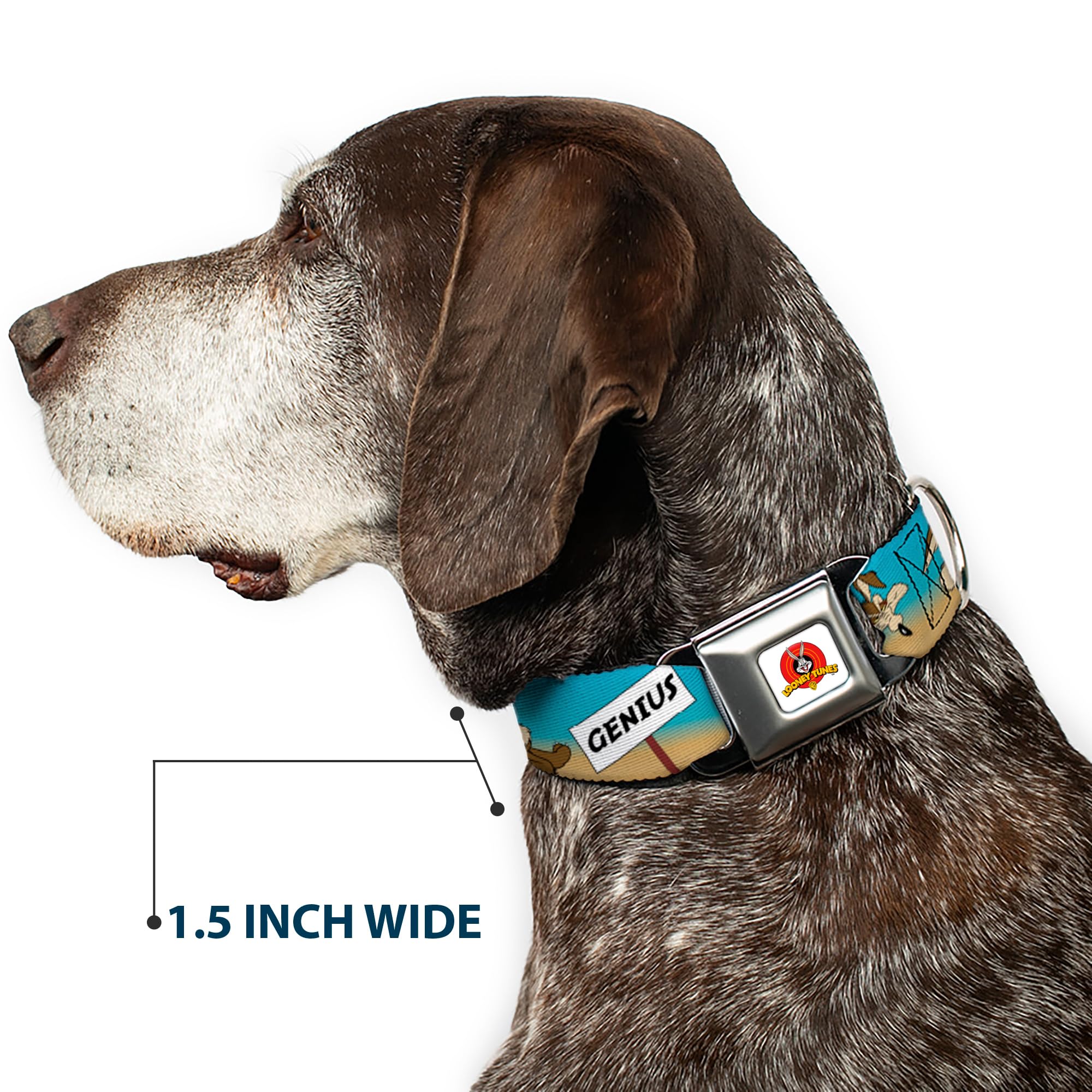 Buckle-Down Seatbelt Buckle Dog Collar - Wile E. Coyote Expressions/Signs Desert - 1.5' Wide - Fits 18-32' Neck - Large