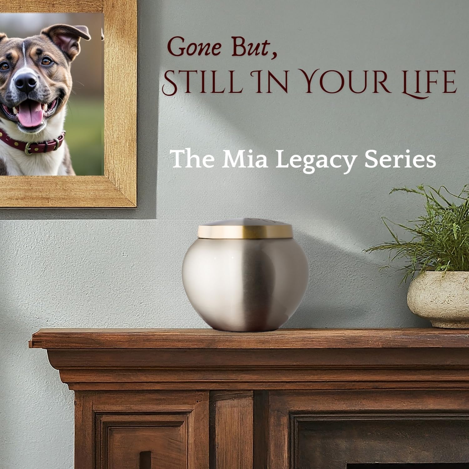 Best Friend Services Pet Urn - Memorial Cremation Pet Urns For Dog And Cat Ashes, Hand Carved Mia Series Urn For Pets Up To 40Lb