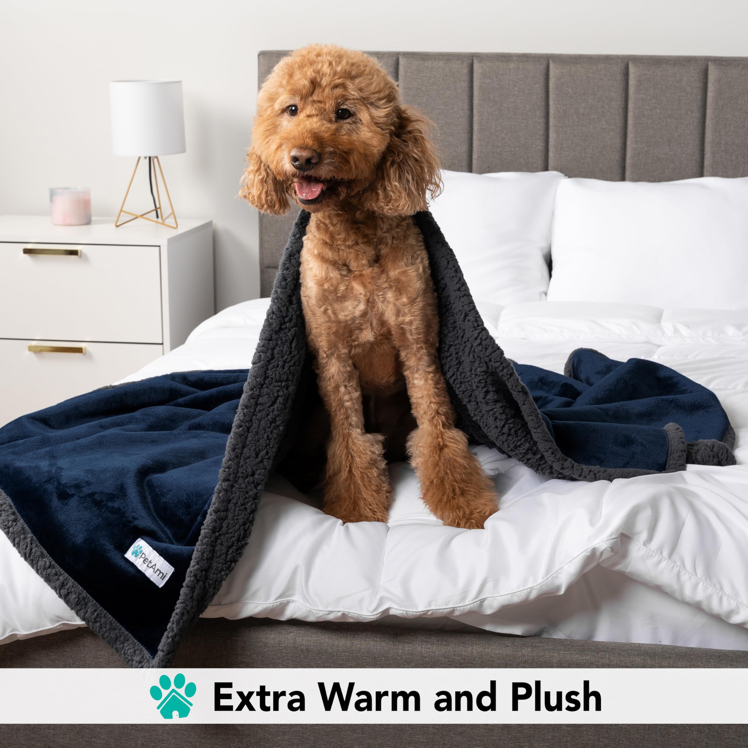 Petami Dog Blanket For Small Medium Dogs, Pet Bed Blanket Cat Puppy Kitten, Fleece Furniture Couch Cover Protector Sofa Car, Soft Sherpa Dog Throw Plush Reversible Washable, Mini 29X40 Blue Gray