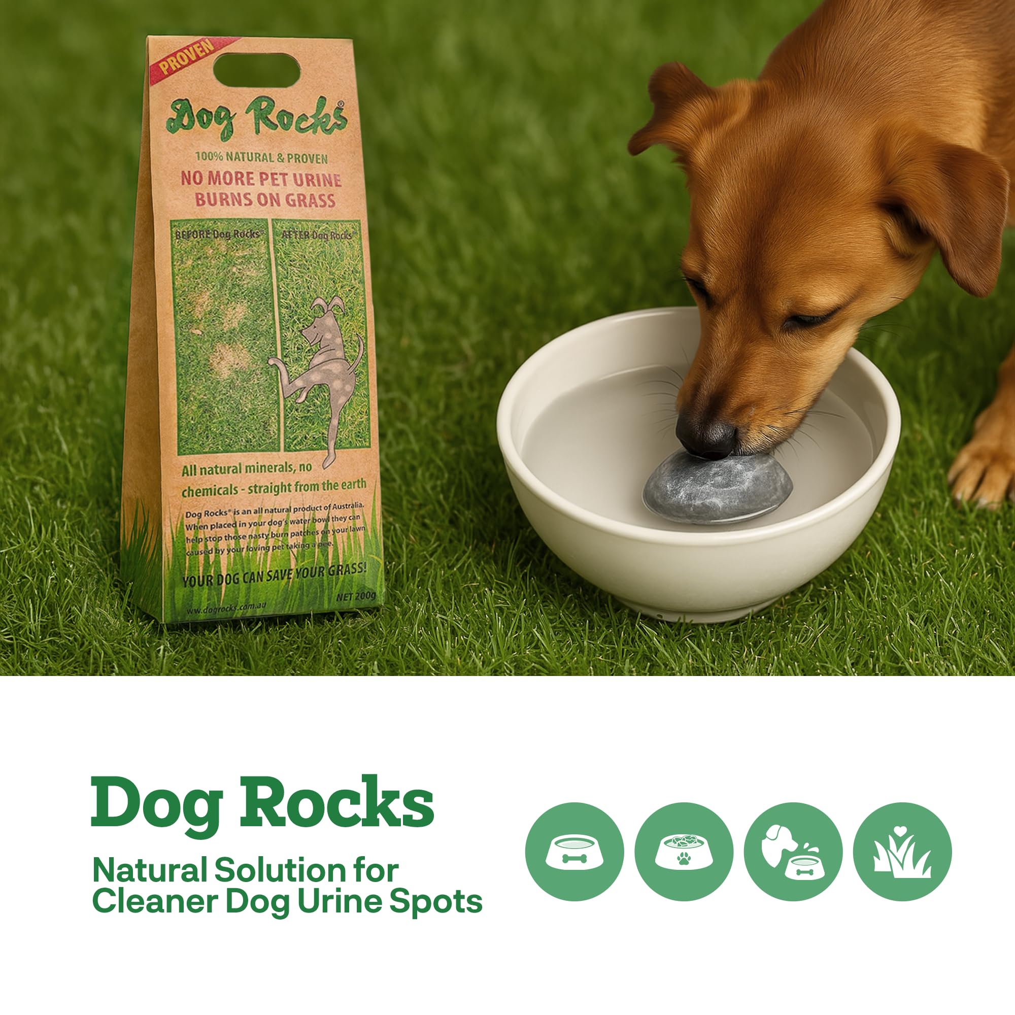 Dog Rocks Natural Pet Rock - 200g Pack of 12 for Dog Urine Lawn Care - Brown