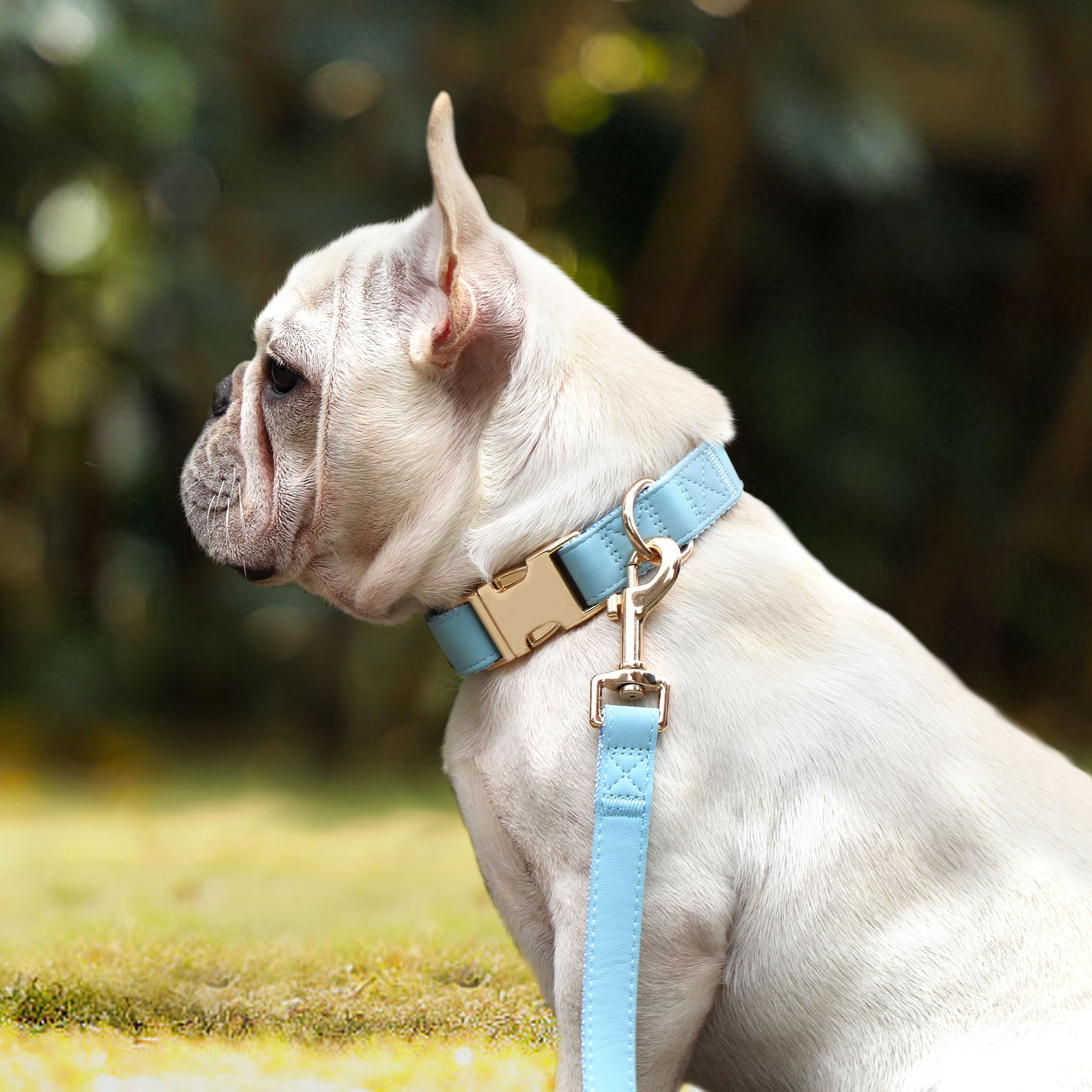 Pet Artist Charming Nylon Dog Collar With Leather Adjustable Soft Elegant Nylon Collars For Dogs Small Medium Large 4 Solid Color For Choosing Blue Red Brown Grey (Blue,Neck Fit 9-14'')