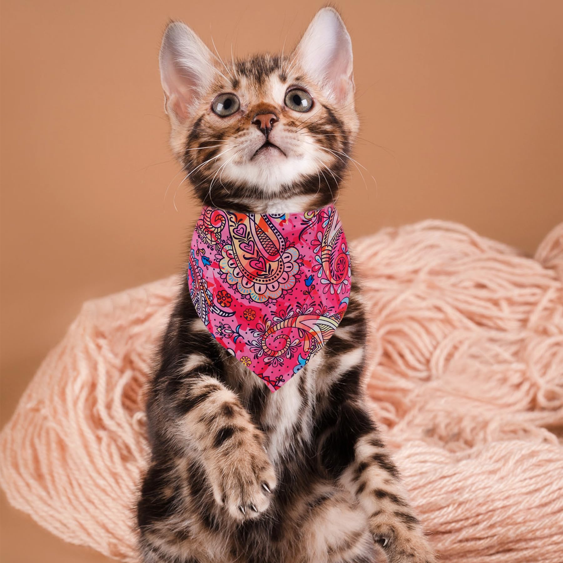 Pai Sence 7 Pcs Paisley Dog Bandanas For Small Dogs Kittens 18 Inch Polyester Dog Bandanas For Puppy Doggy Xs Scarves Party Groo