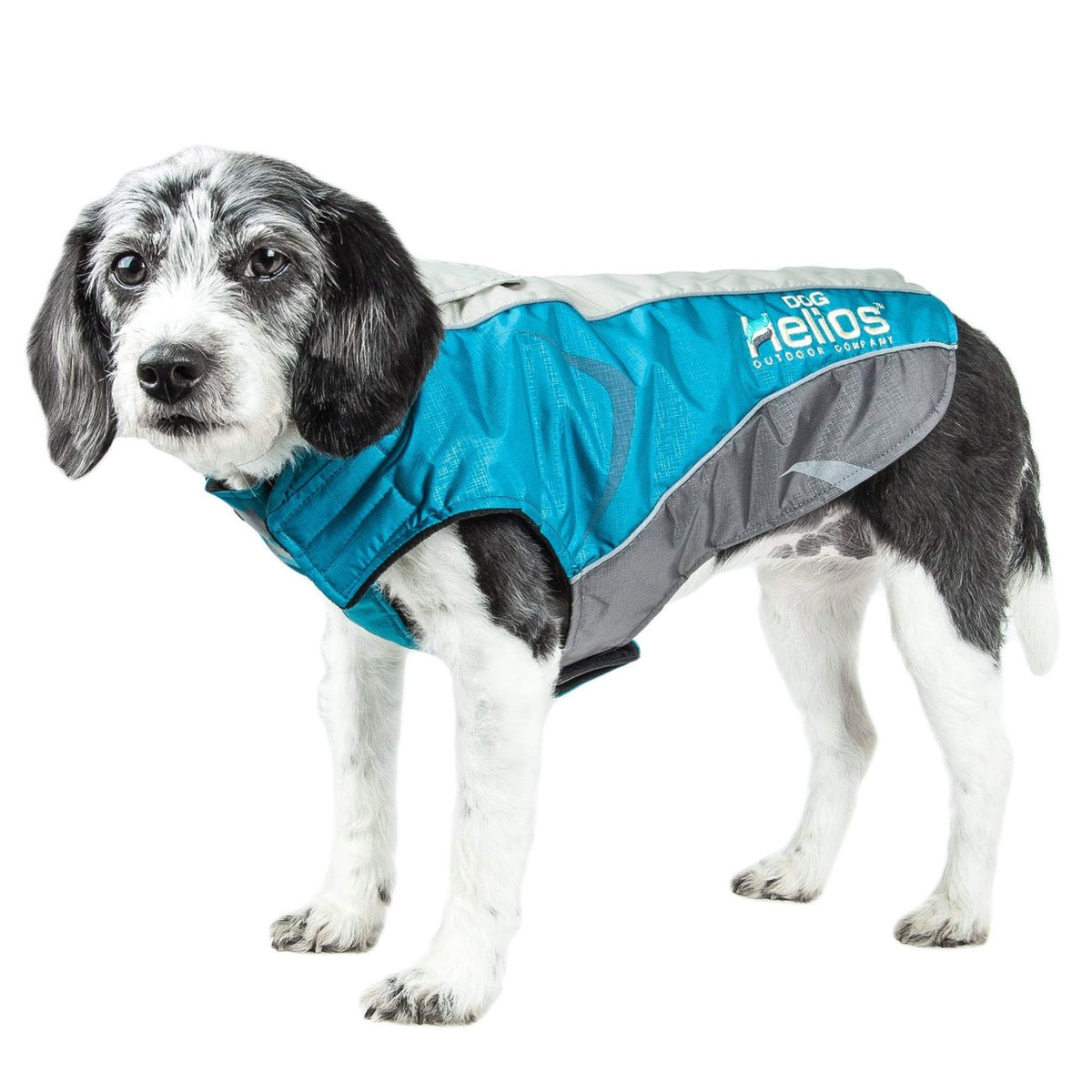 DOGHELIOS 'Altitude-Mountaineer' Wrap-Velcro Protective Waterproof Pet Dog Coat Jacket w/ Blackshark Technology, X-Small, Blue, Charcoal Grey, Light Grey