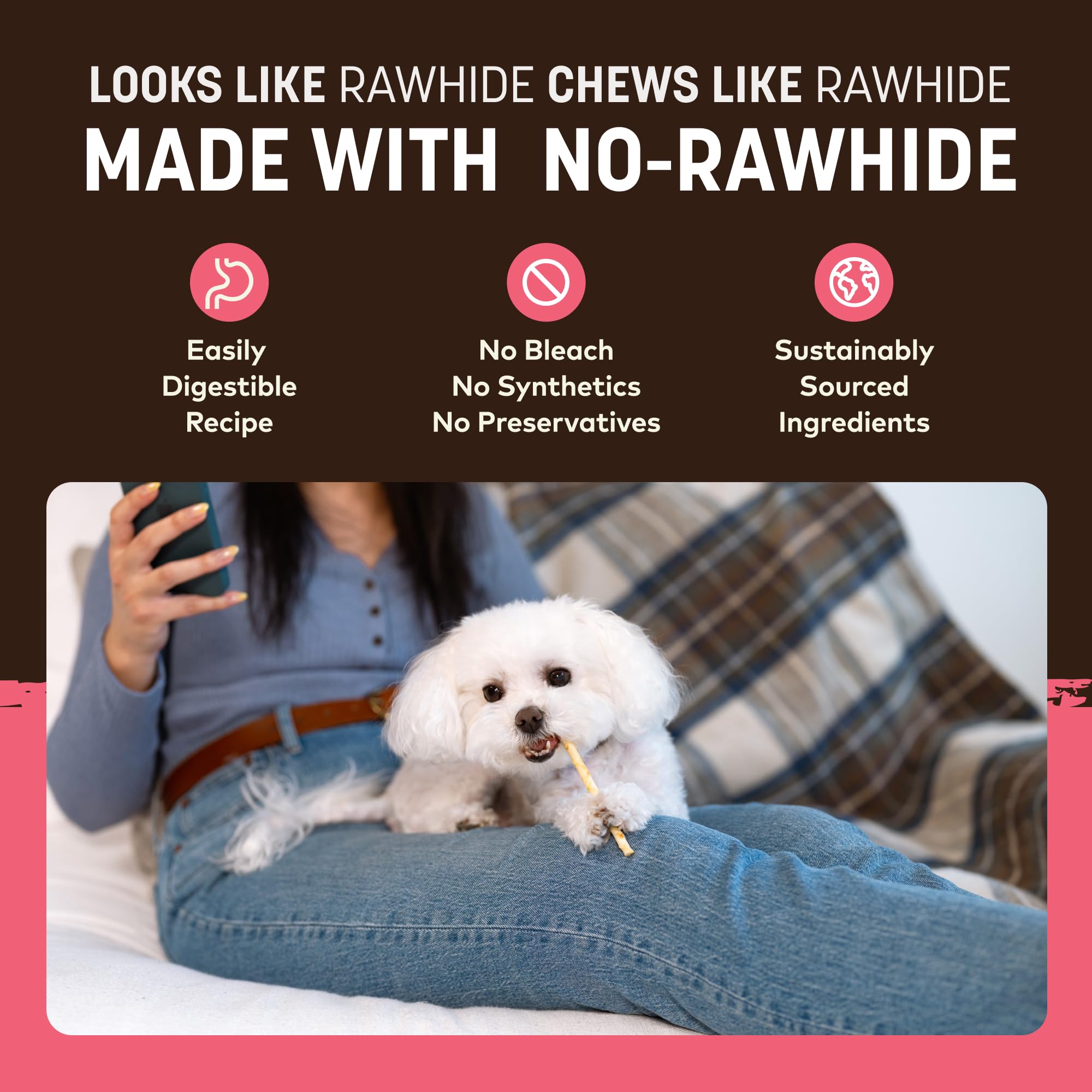 Earth Animal No Hide Stix - Long Lasting Rawhide Free Small Dog Chews Sticks, Chicken & Salmon Variety Bundle - 40 Count Value P