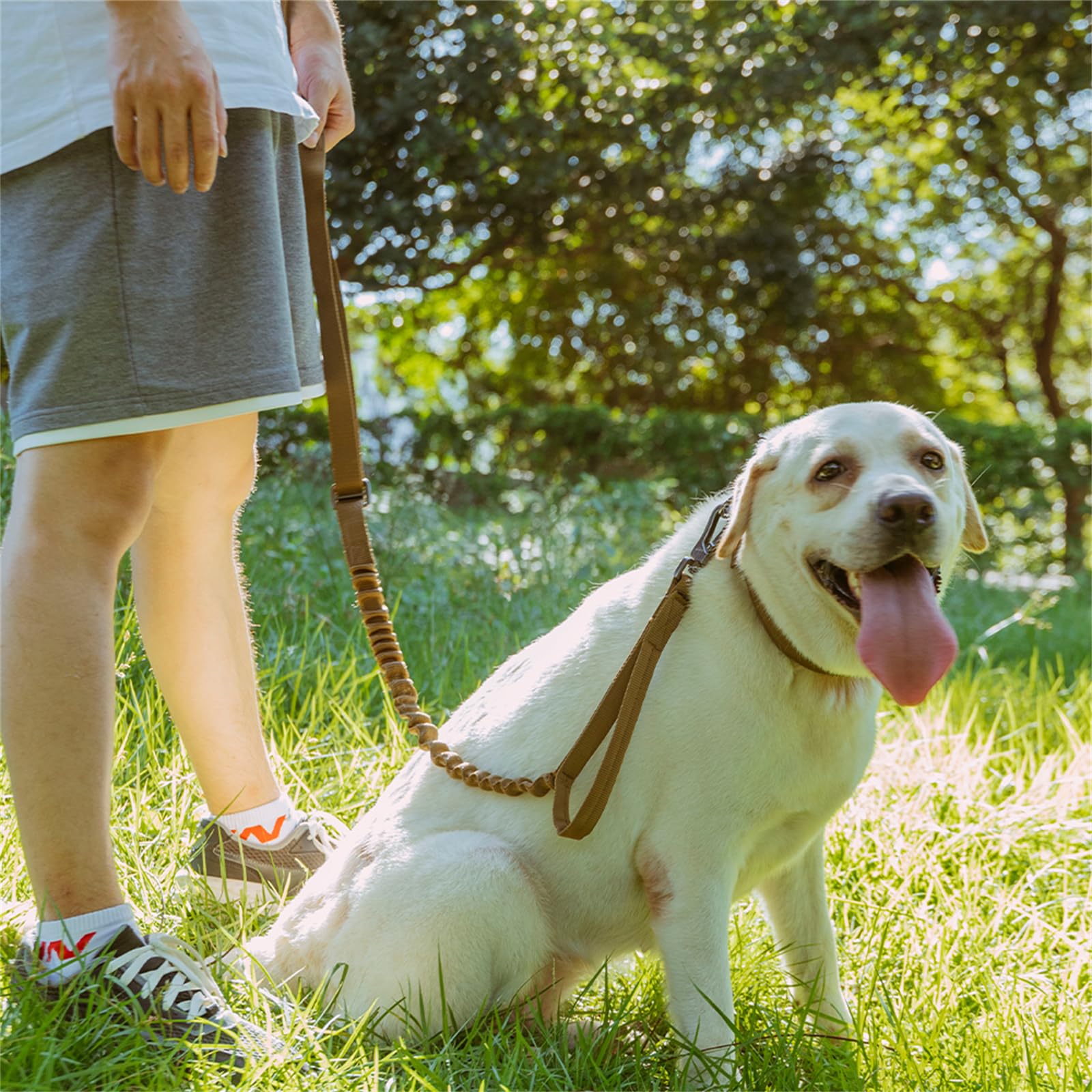Excellent Elite Spanker Tactical Dog Leash Heavy Duty 5-6Ft Adjustable No Pull Military Bungee Dog Leash Elastic Leads Rope With 2 Padded Control Handle For Medium Large X-Large Dogs(Coyote Brown)