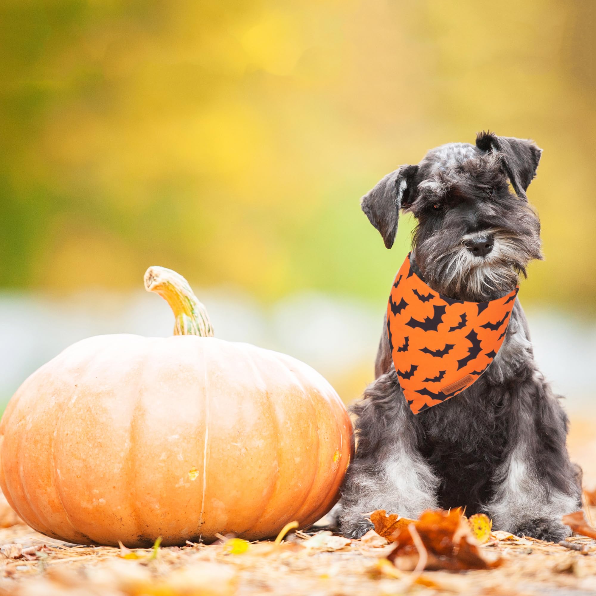 Adoggygo Halloween Dog Bandana, Pumpkin Bat Design Dog Scarf, Premium Durable Fabric, Orange Black Dog Halloween Bandanas For Small Dogs Cats Puppies (Small, Halloween)