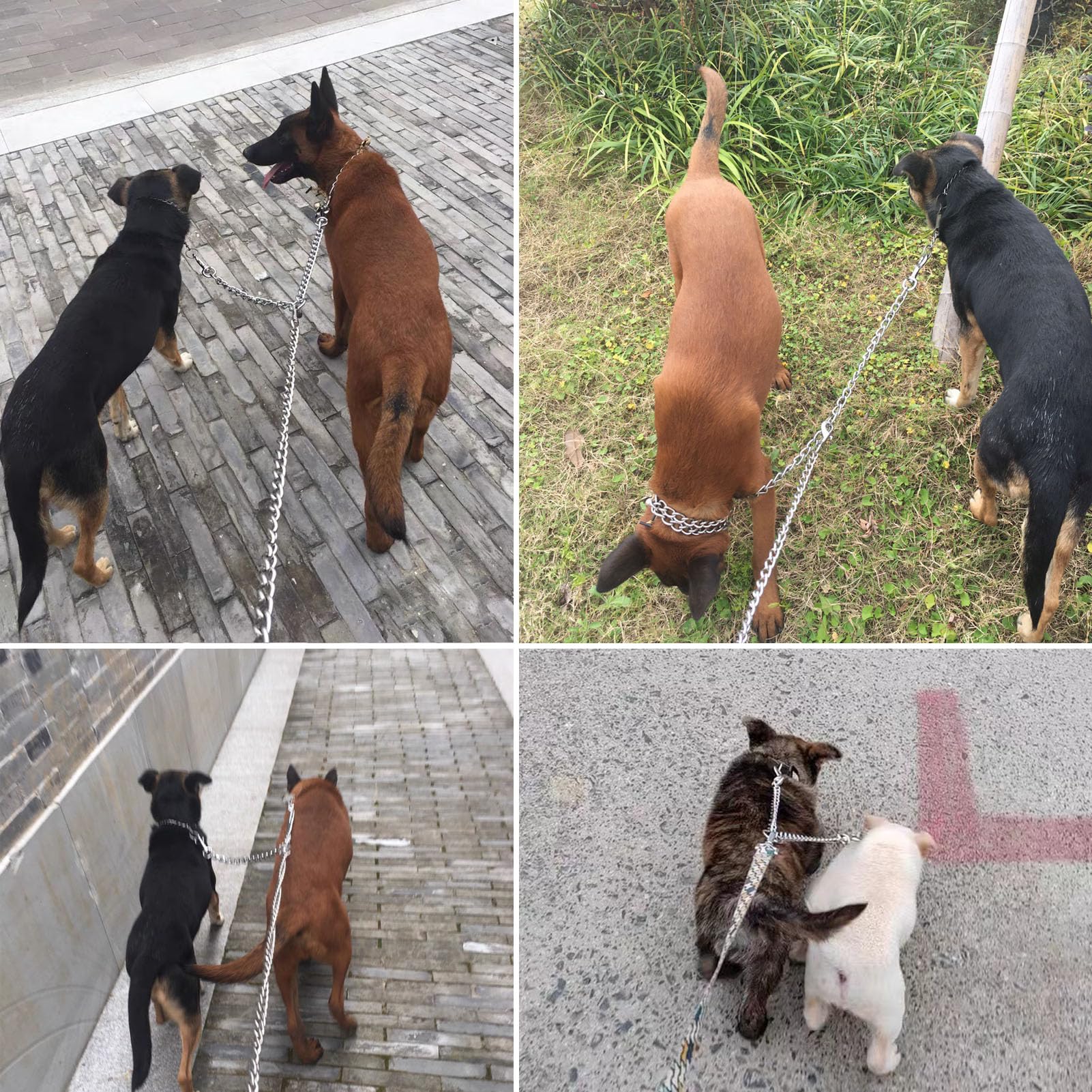 Mystercome Metal Double Dog Leash Chew Proof Chain Leash 2 Way No Tangle Coupler Anti Chew Dog Leash Extension Splitter Lead For