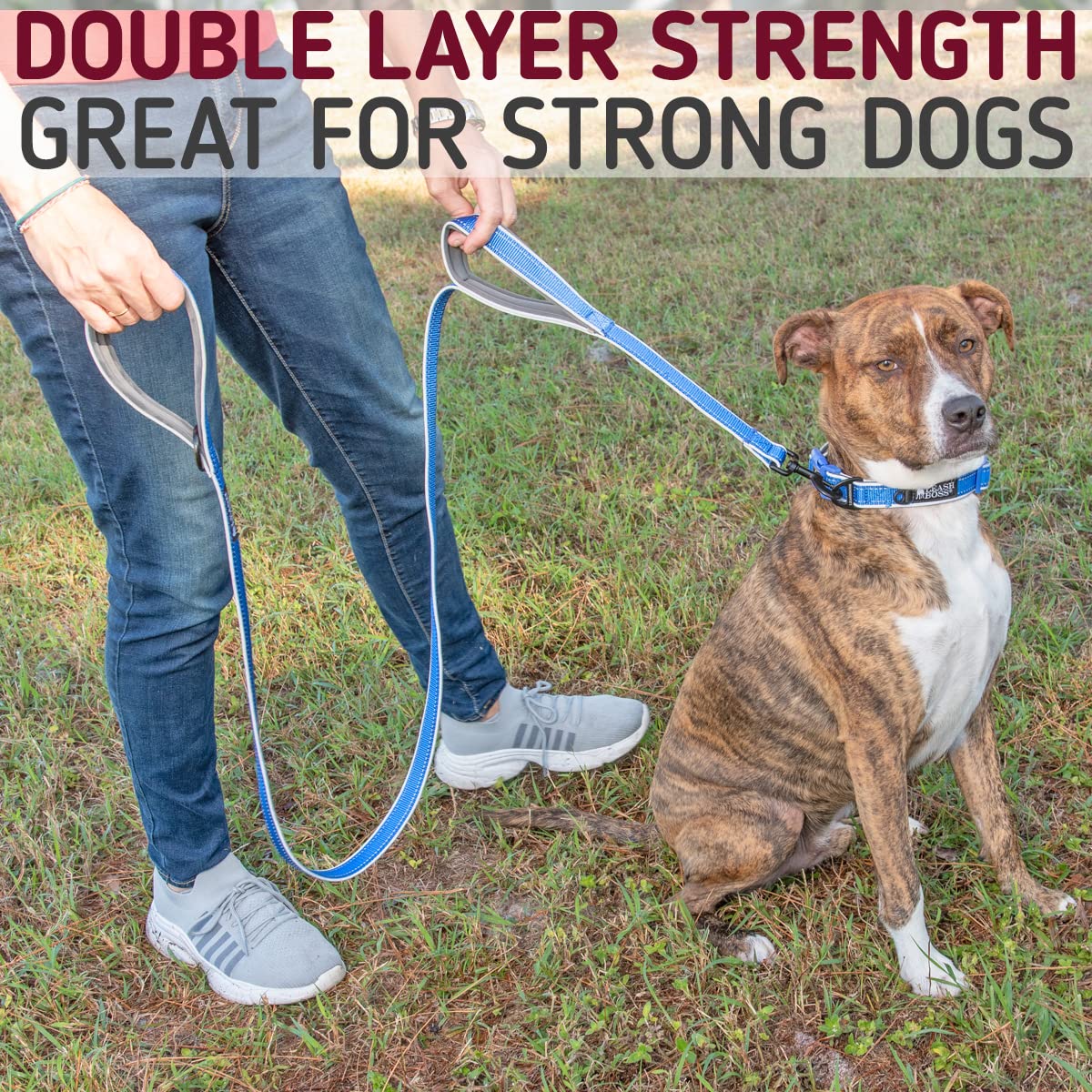 Leashboss Double Handle Dog Leash, 6 Ft Reflective Dog Leash With Two Padded Handles For Large Dogs Or Medium Dogs That Pull (Aqua)