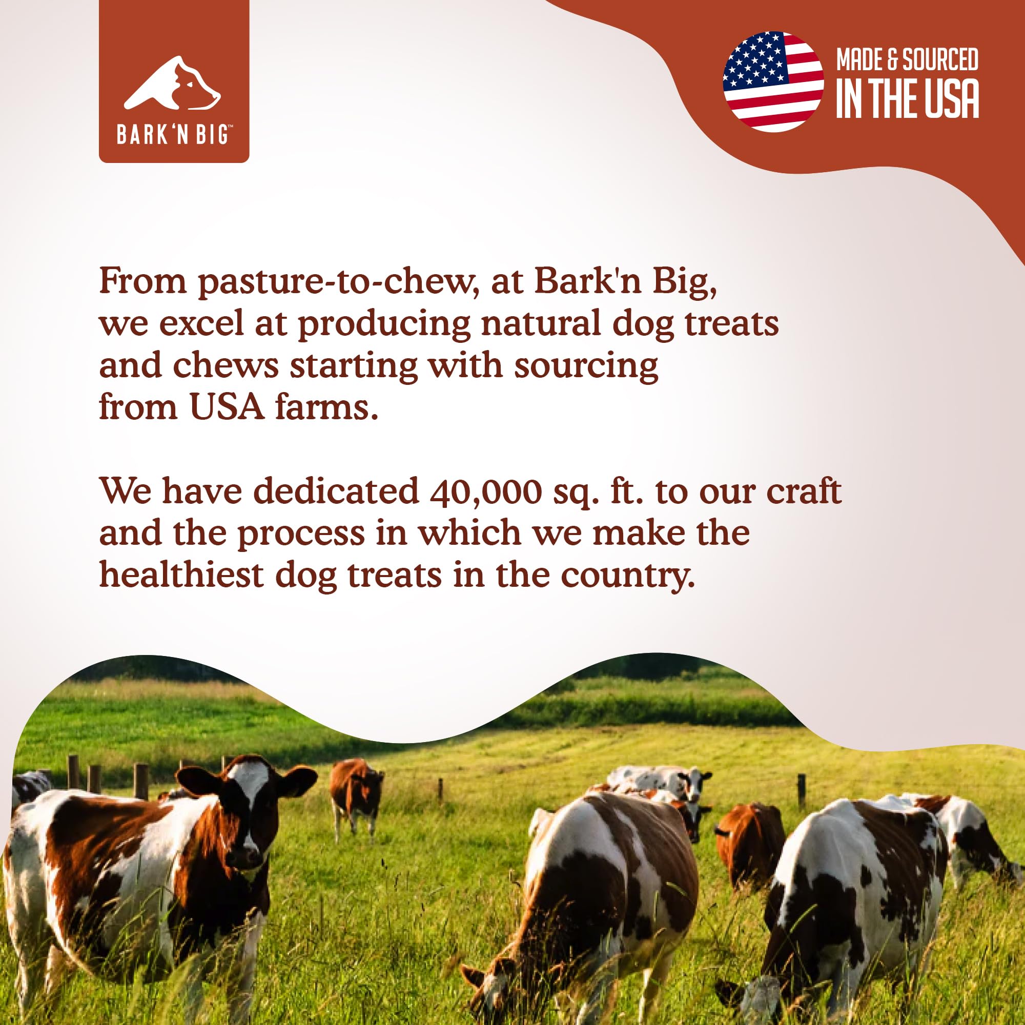BARKN BIG Bison Dog Treats - Single Ingredient Lung Dog Treats - Made & Sourced in USA - Dehydrated Bison, High Protein, Low Fa