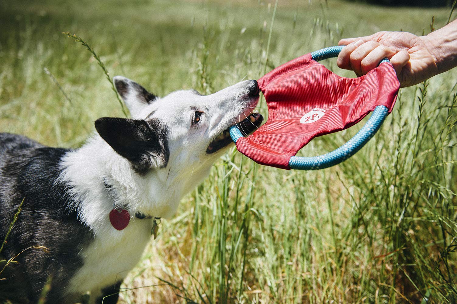Zippypaws Rope Gliderz Dog Toy, Soft Frisbee With Durable Rope For Tugging And Chewing, Magenta