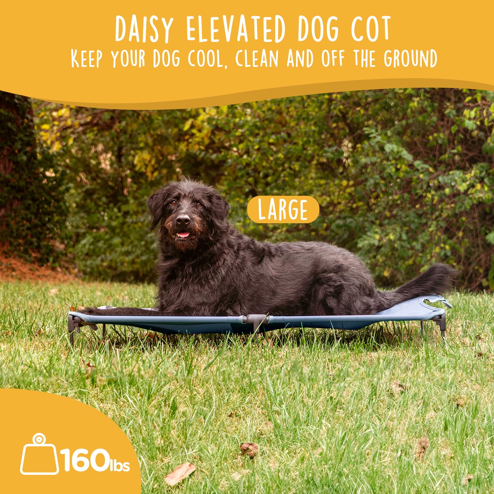 Canine Canyon Daisy Cot, Large Foldable Elevated Dog Bed, Portable Raised Outdoor Folding Dog Cot, Cooling, Chew Proof, Waterpro