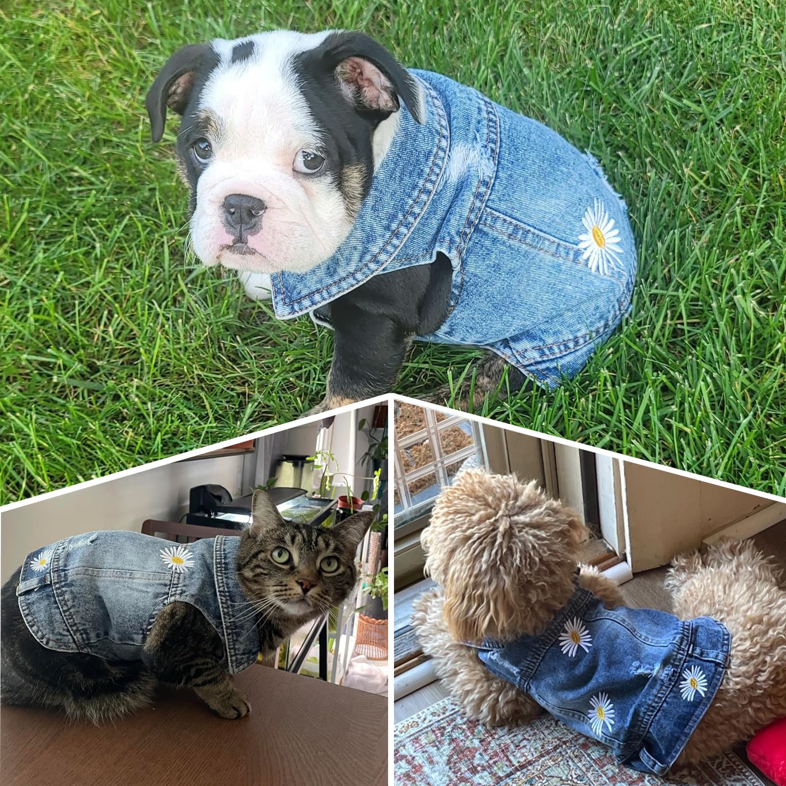 Pet Clothes Denim Dog Costume Summer Cowboy Vest Daisy Shirt Jeans Jacket Puppy Clothing for Chihuahua Yorkies