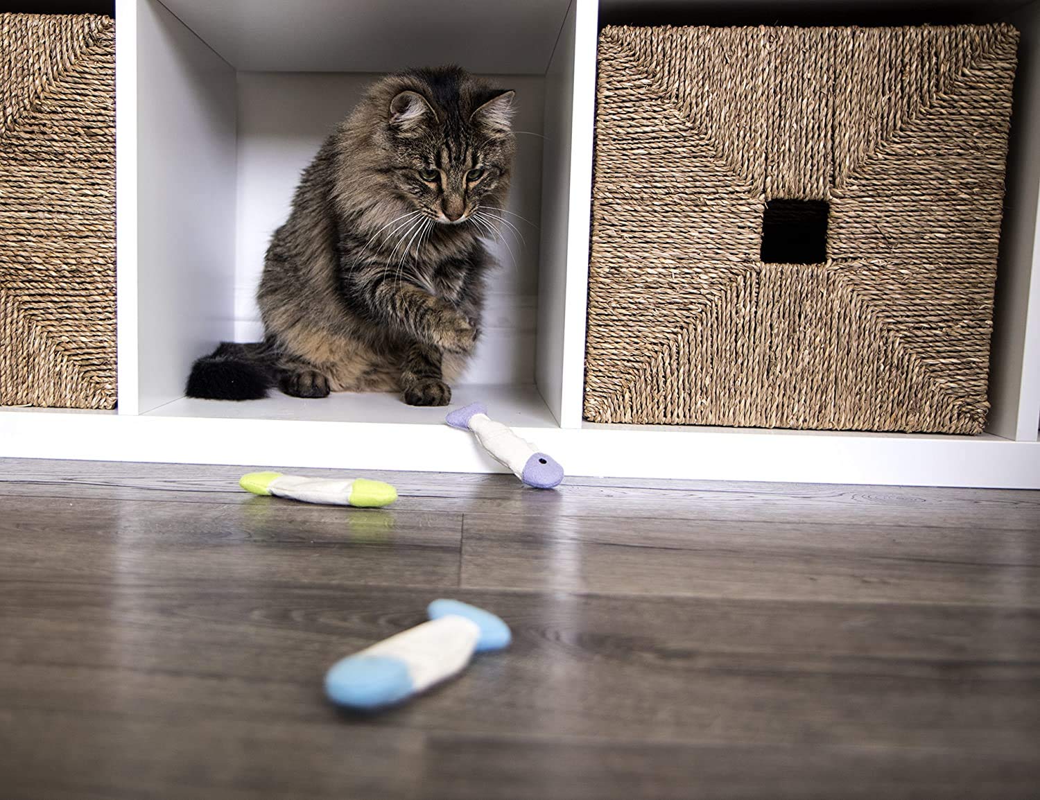 Smartykat (9 Count Fish Flop Crinkle Catnip Cat Toys - Multi Color, 9 Count