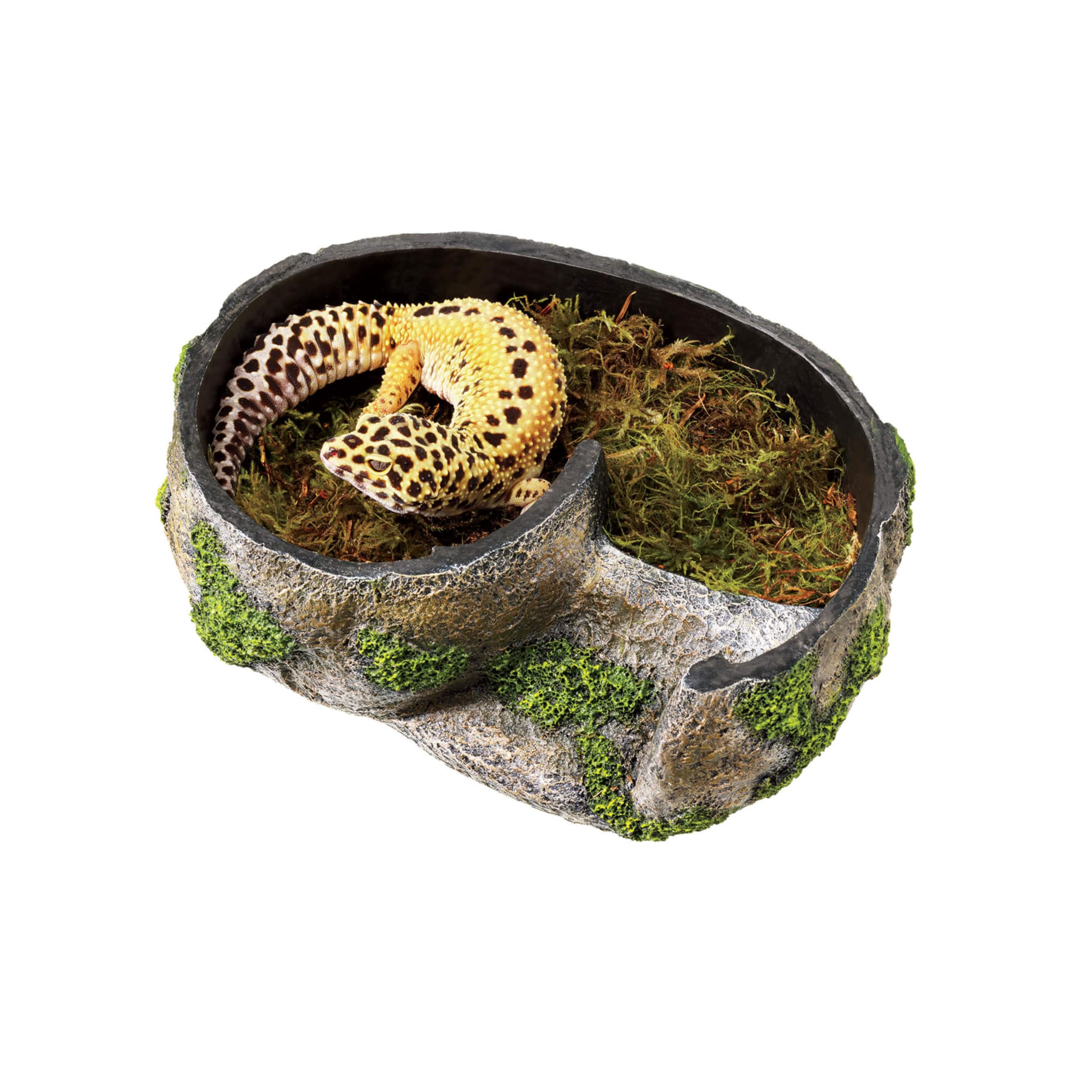 Zilla Medium Grey Pet Terrarium Rock Lair - Ideal Hideout for Reptiles and Small Animals