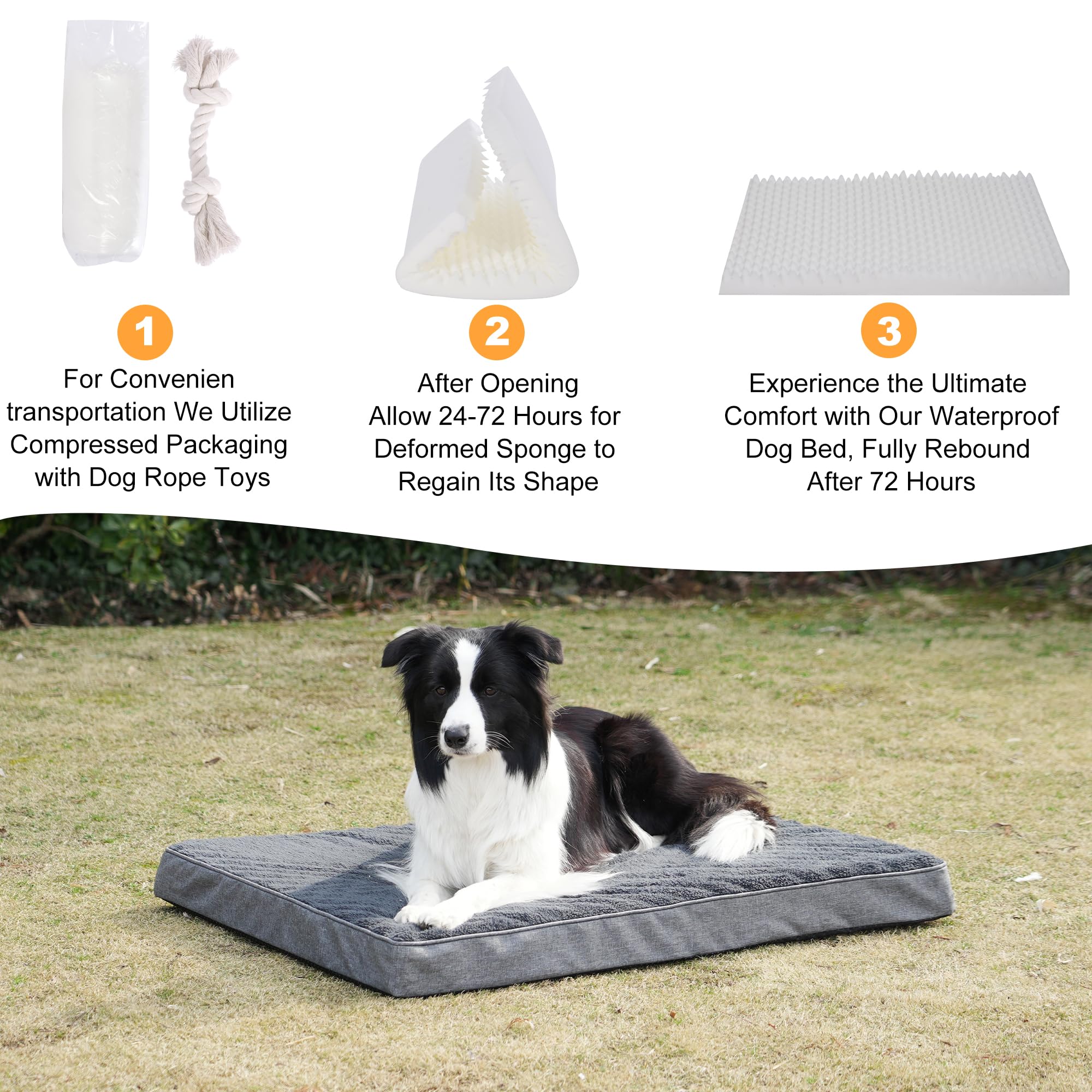 Softhola Orthopedic Dog Bed For Large And Medium Dogs, Dog Mat With Removable Washable Cover & Anti-Slip Bottom,Egg Crate Foam P