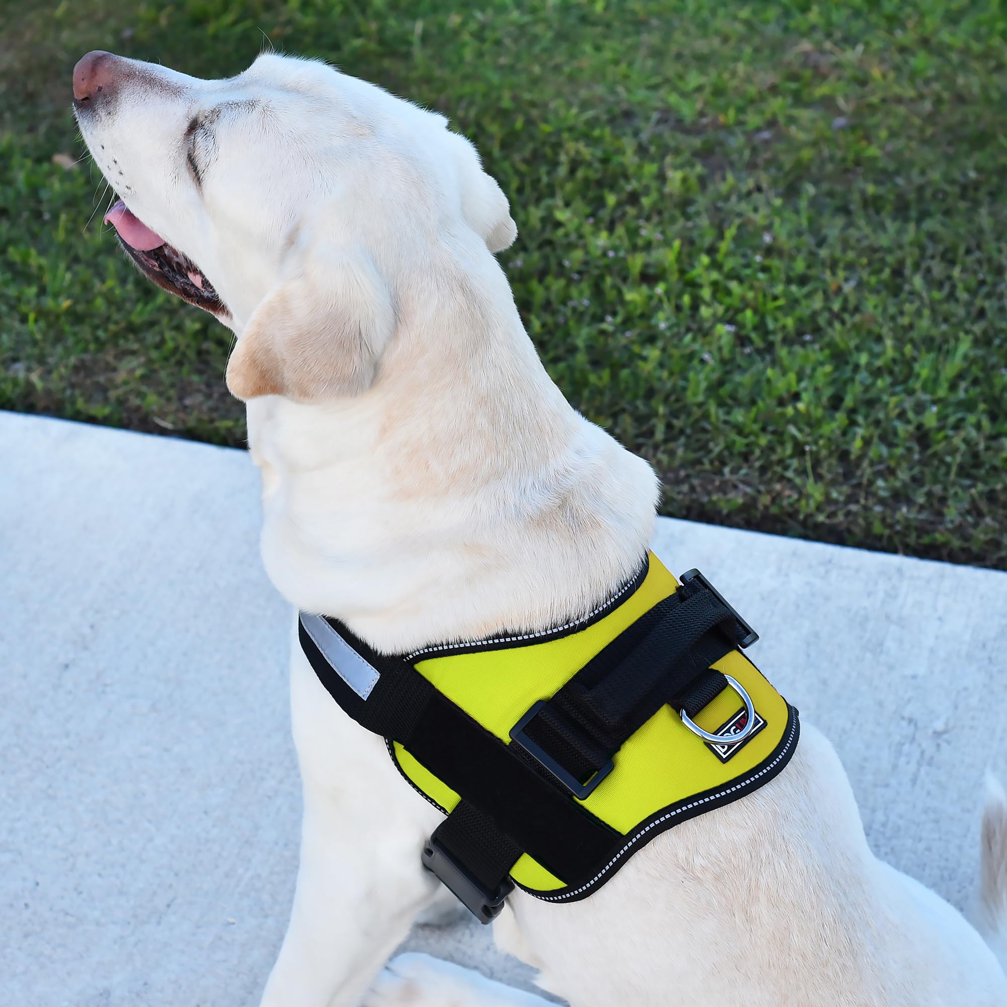 Dog Harness, Reflective No-Pull Adjustable Vest With Handle For Walking, Training, Service Breathable No - Choke Harness For Small, Medium Or Large Dogs Room For Patches Girth 15 To 18 In Lime Green