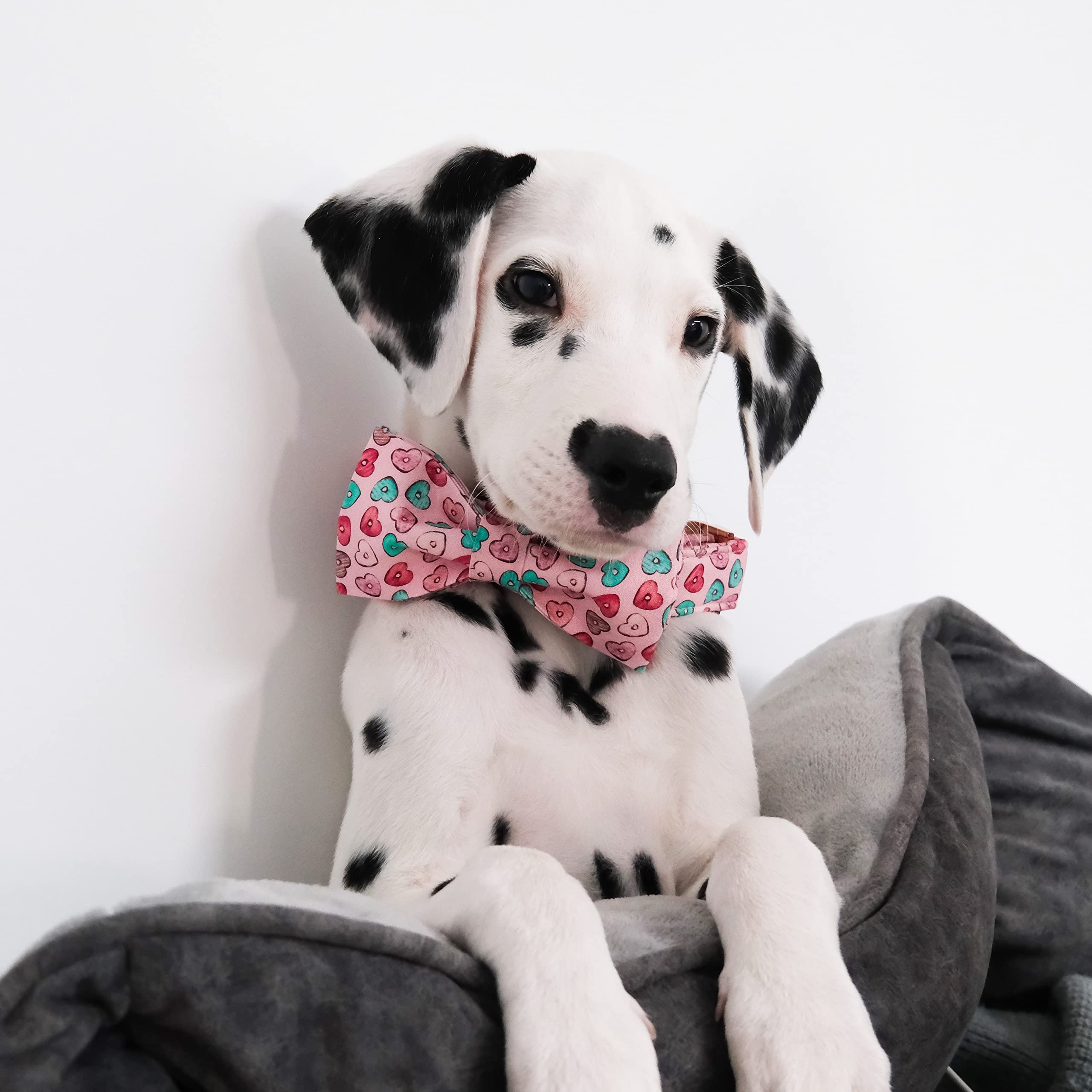 MACA Bates Valentines Dog Collar with Bow Flower Bow tie, Sweet Heart Adjustable Collars for Small Medium Large Dogs with Metal