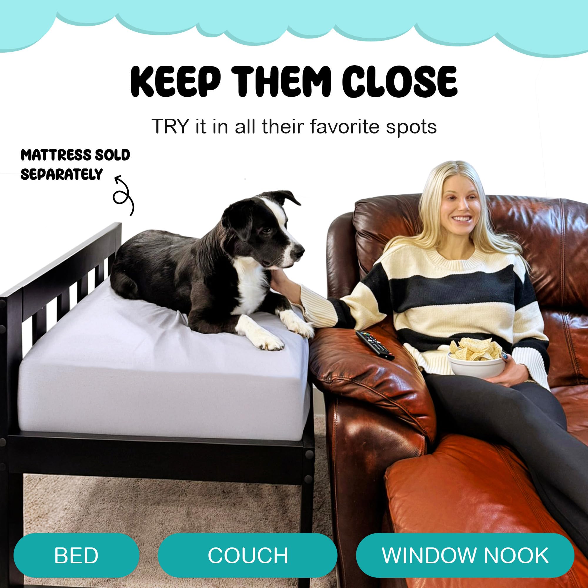 Sleepy Hippo Wooden Raised Dog Bed Frame - Medium Profile, Coffee Bean, Freestanding Cosleeper for Small, Medium & Large Dogs and Cats