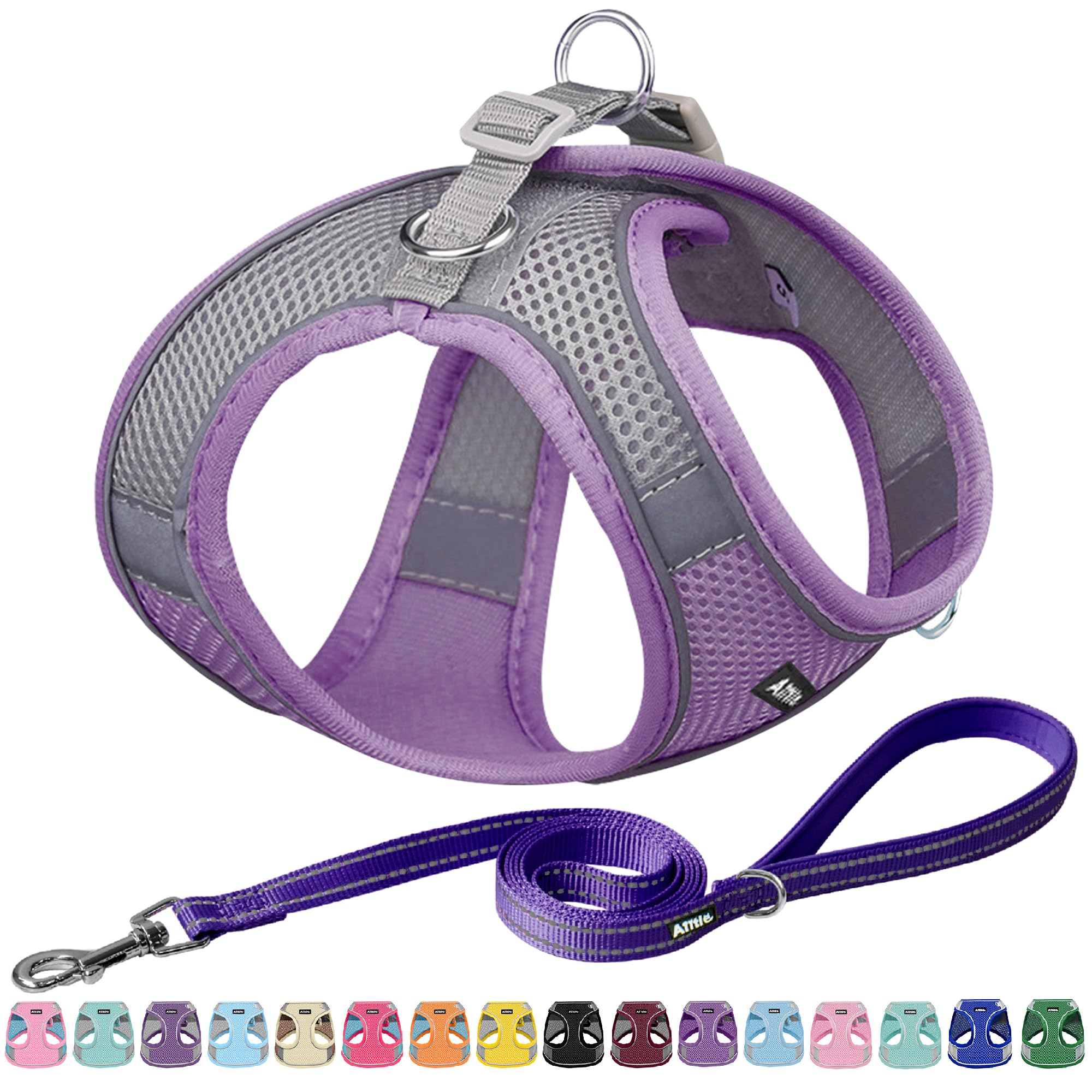 Aiitle Comfortable Dog Harness And Leash Set For Walking - Spring Step In Vest Harness,Reflective Bands, Adjustable No Pull Pupp
