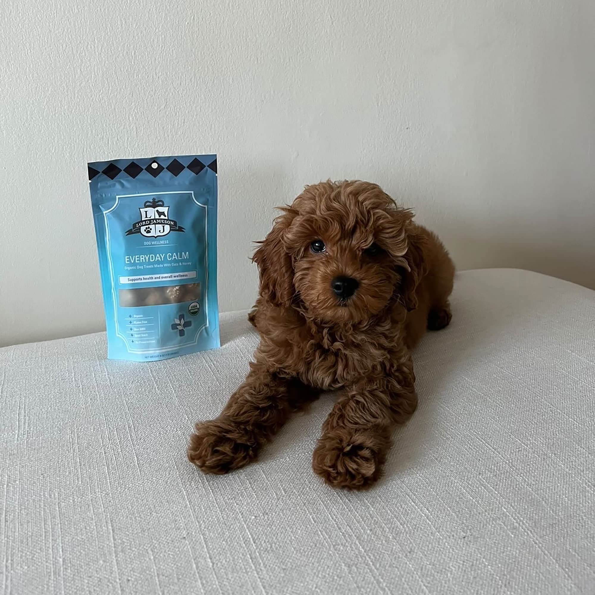 Lord Jameson Dog Everyday Calm 6Oz