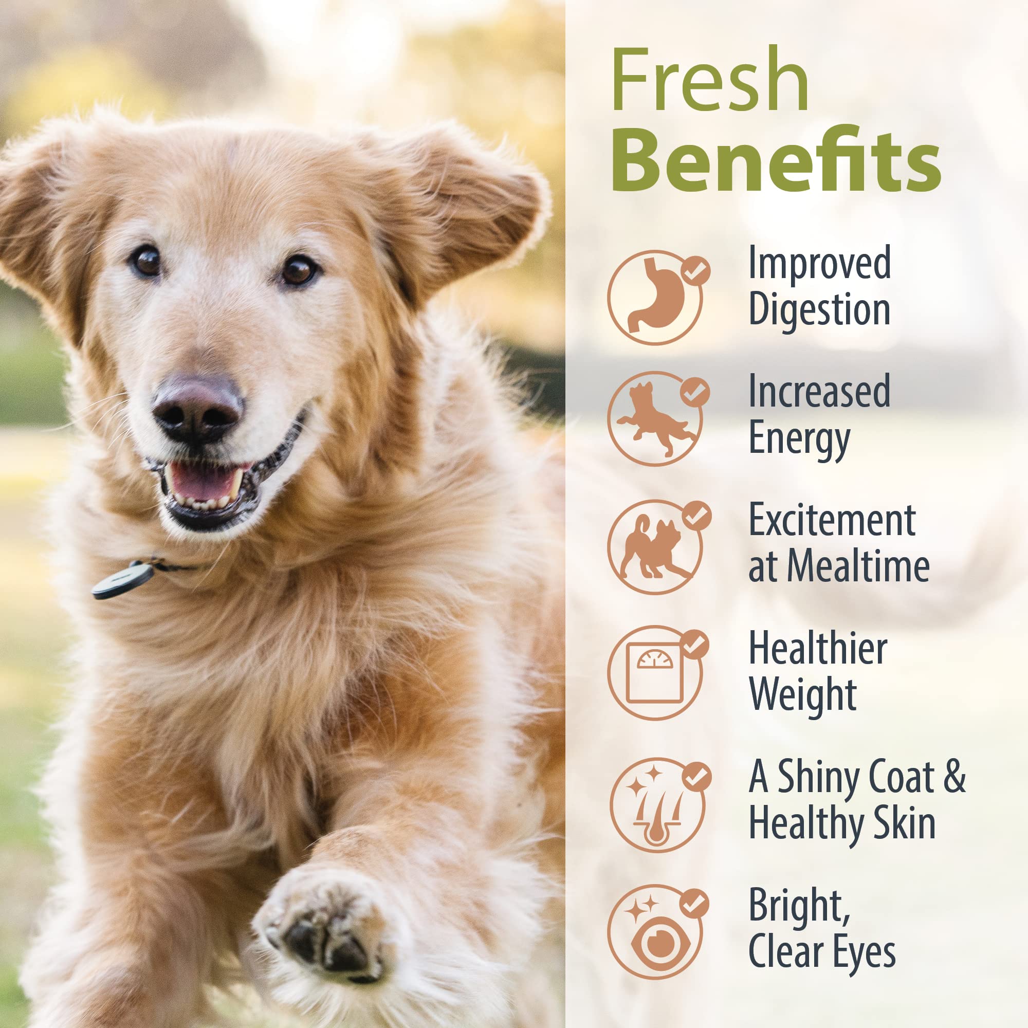 JustFoodForDogs Frozen Fresh Dog Food Starter Pack, 5.5 Oz (9 Pack), Brown, Human Grade