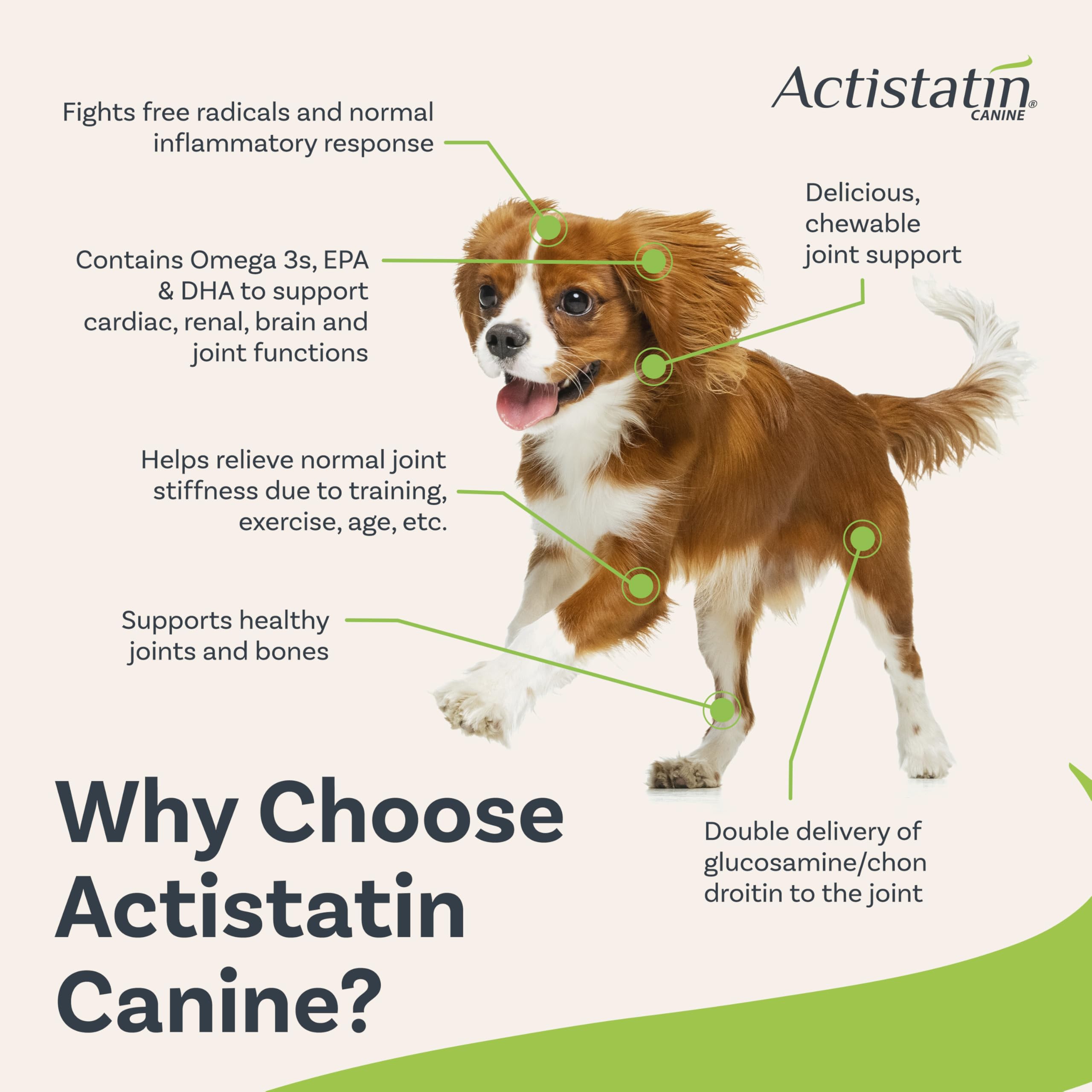 Actistatin Canine Small Dog Soft Chews, 120ct - Patented Extra-Strength Joint, Cartilage, Soft Tissue Supplement: Glucosamine, C