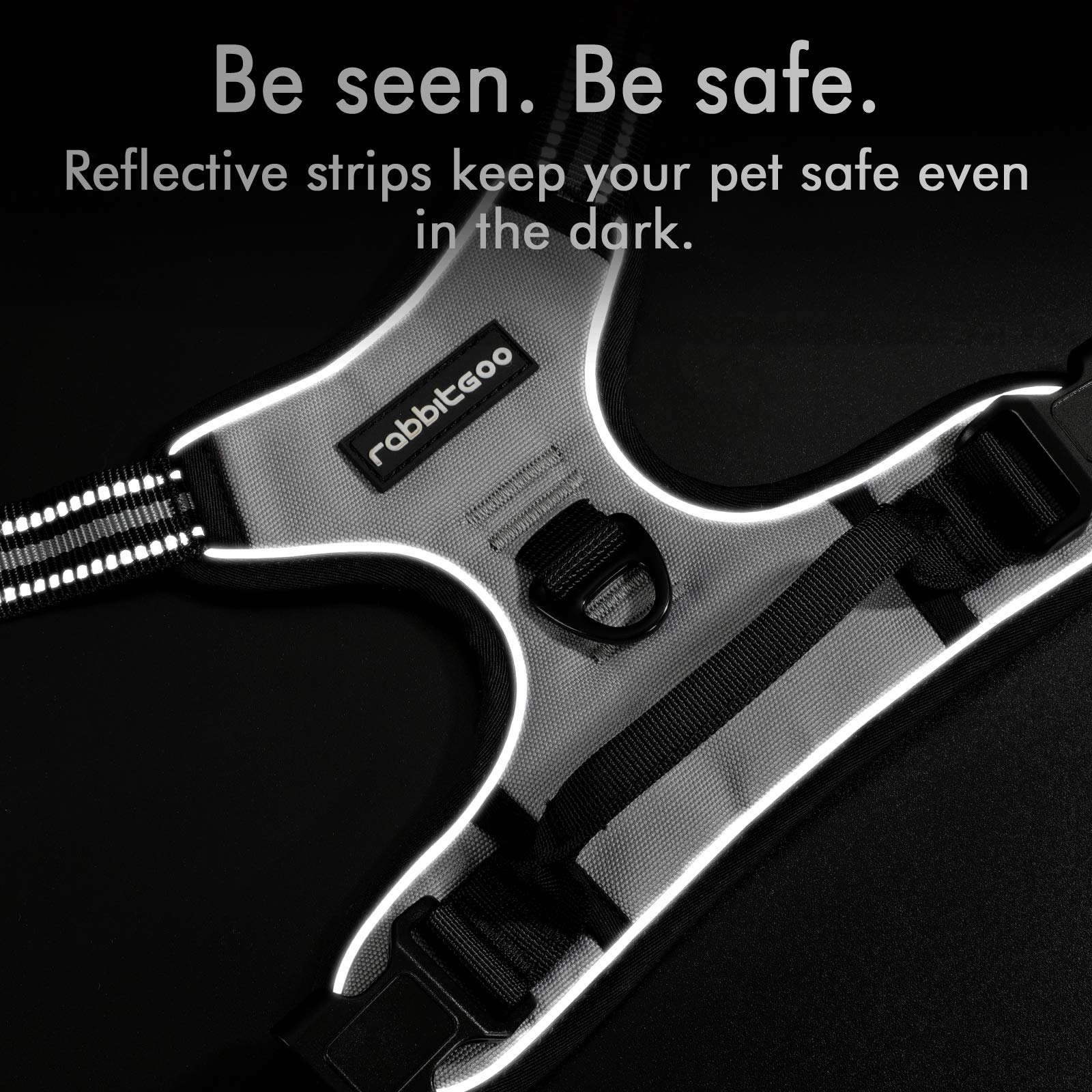 Rabbitgoo Dog Harness, No-Pull Pet Harness With 2 Leash Clips, Adjustable Soft Padded Dog Vest, Reflective No-Choke Pet Oxford Vest With Easy Control Handle For Large Dogs, Grey, L