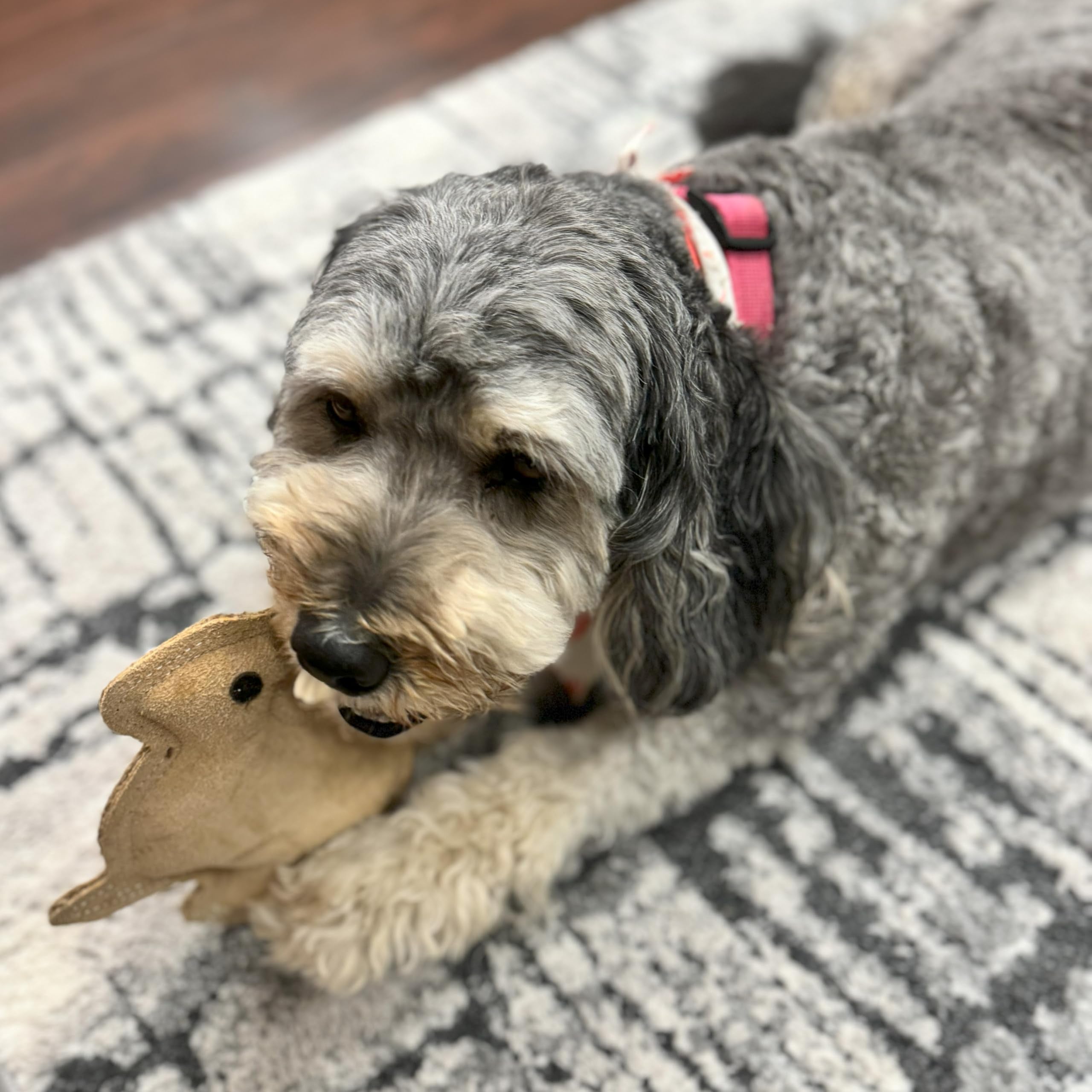 SPOT Dura-Fused Leather Rabbit - Durable Dog Toy with Squeaker, Real Leather & Jute Fabric, Interactive Toy for Moderate & Aggre