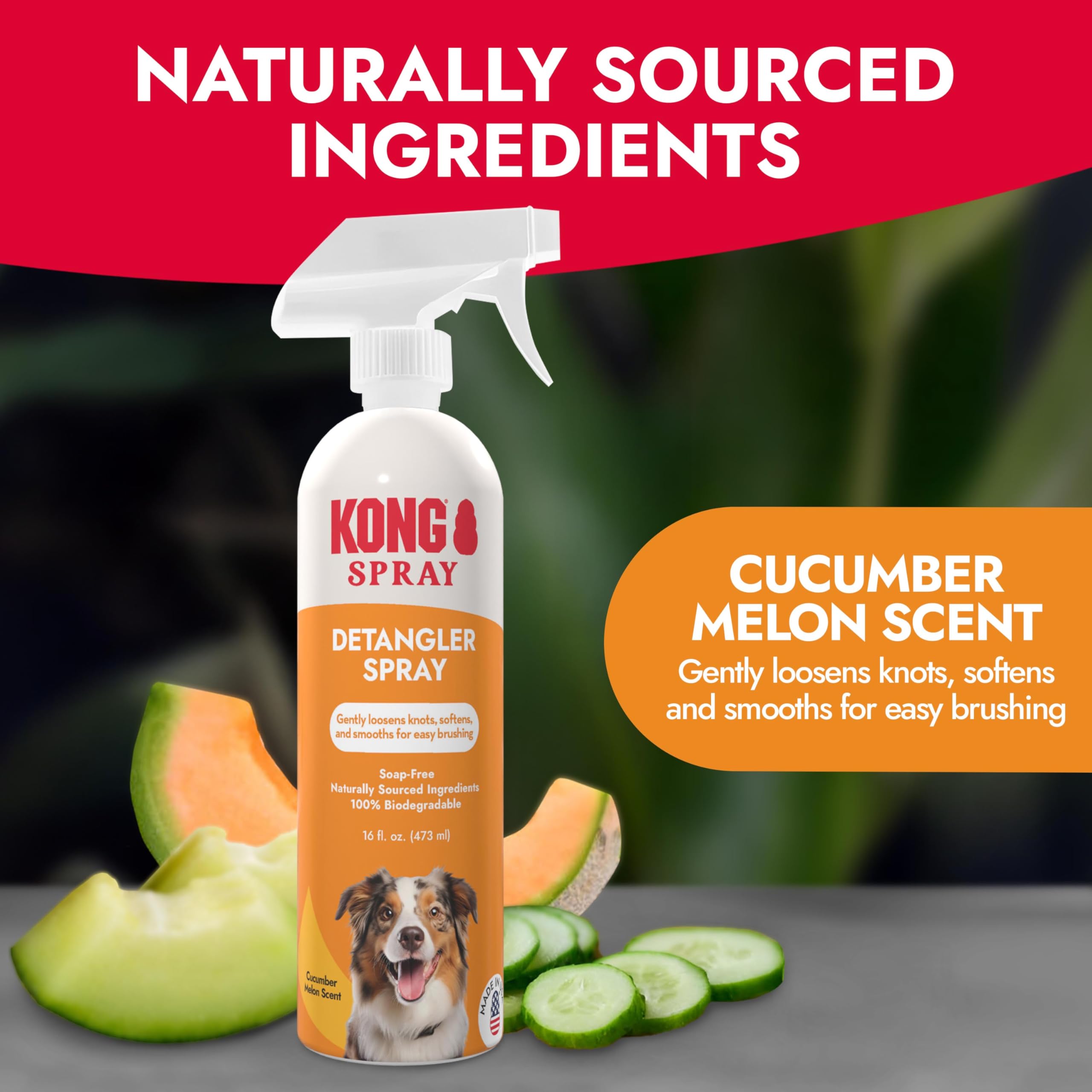 Kong Detangler Spray for Dogs - Cucumber Melon Scent, 16 fl oz - Loosens Knots, Softens & Smooths Coats, Biodegradable, Alcohol-
