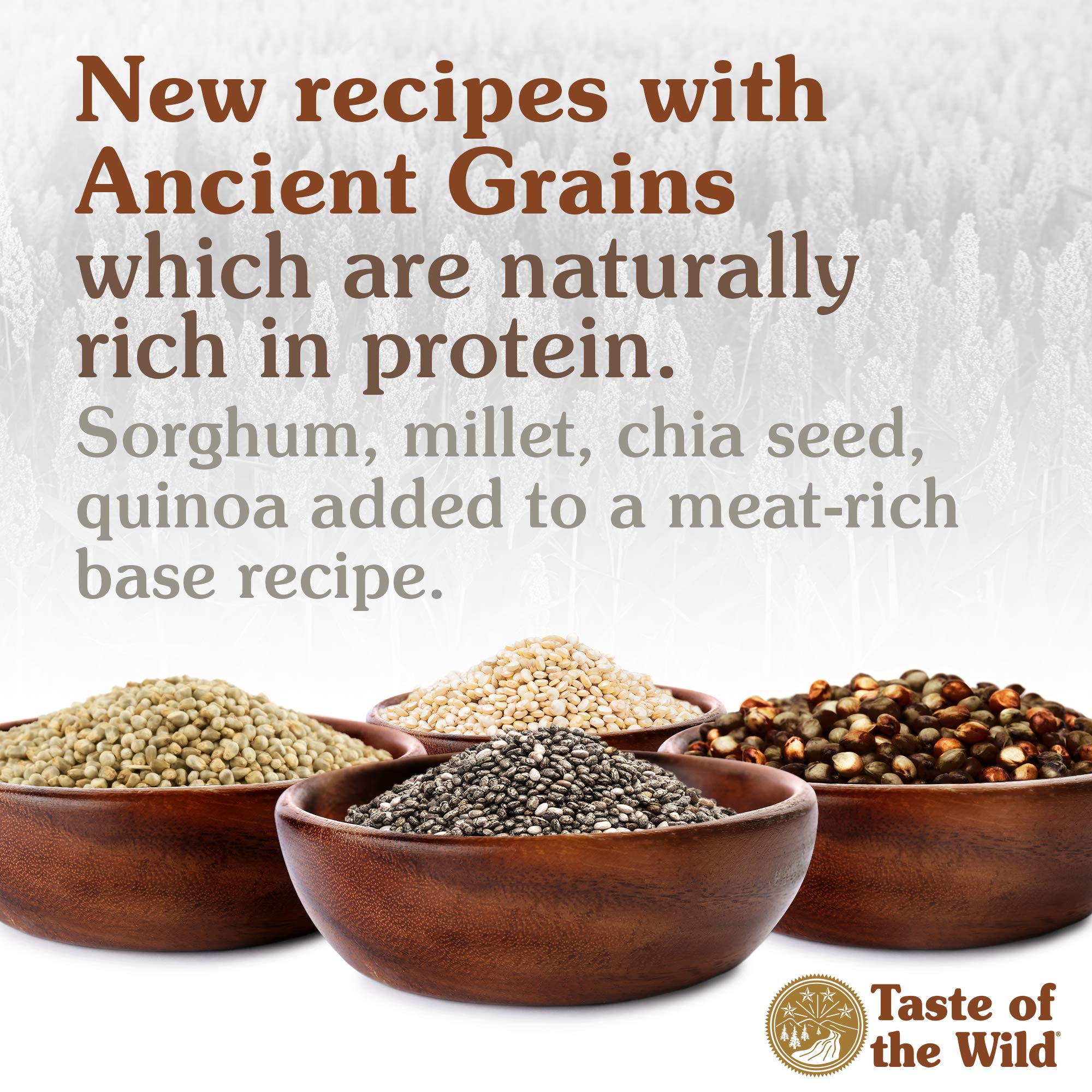 Taste of the Wild with Ancient Grains Ancient Mountain Canine Recipe with Roasted Lamb Dry Dog Food, Made with High Protein from