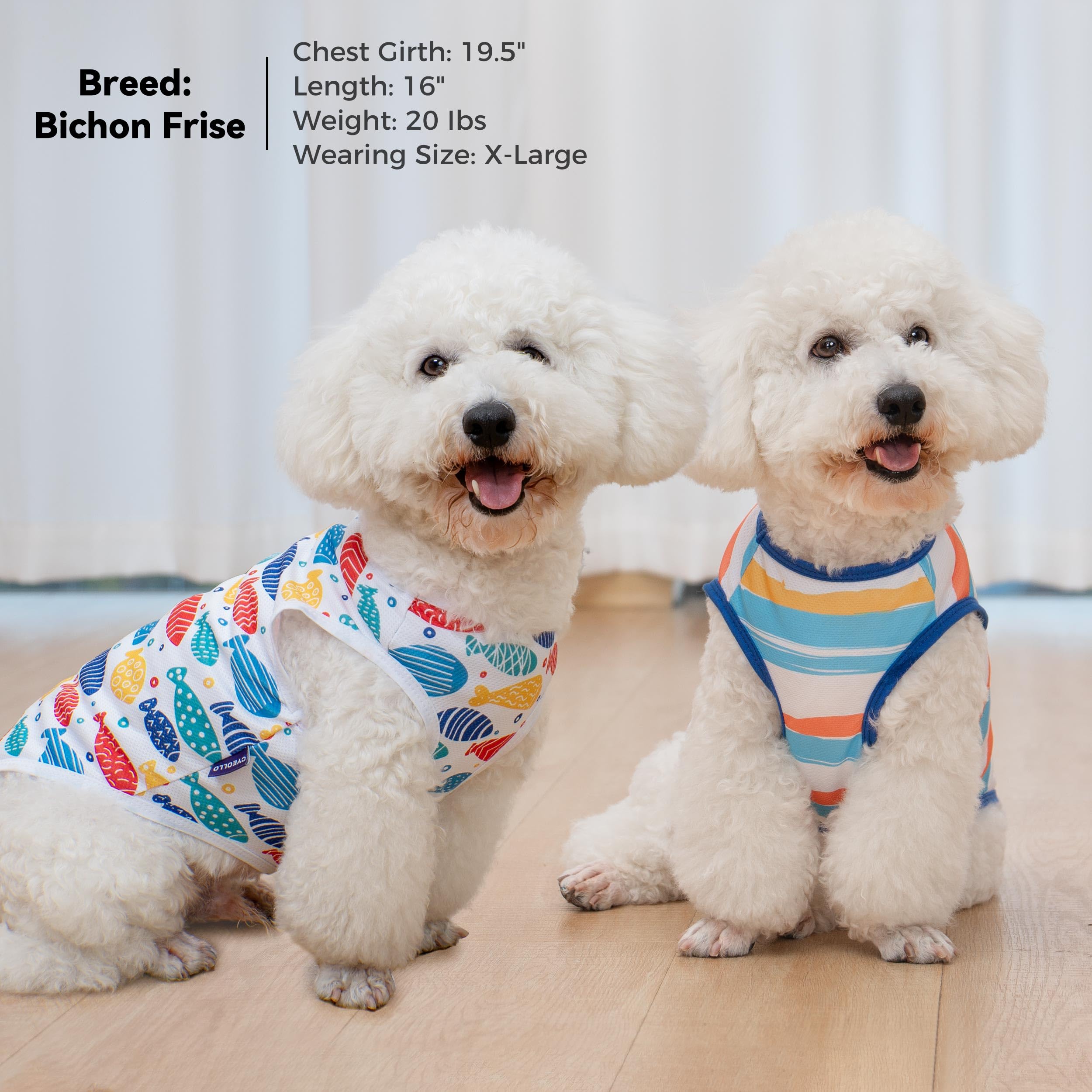 Cyeollo 2Pack Dog Cooling Shirt, Breathable Sleeveless Summer Clothes For Dogs, Intant Cool T Shirts For Small Dogs, Blue Fish M