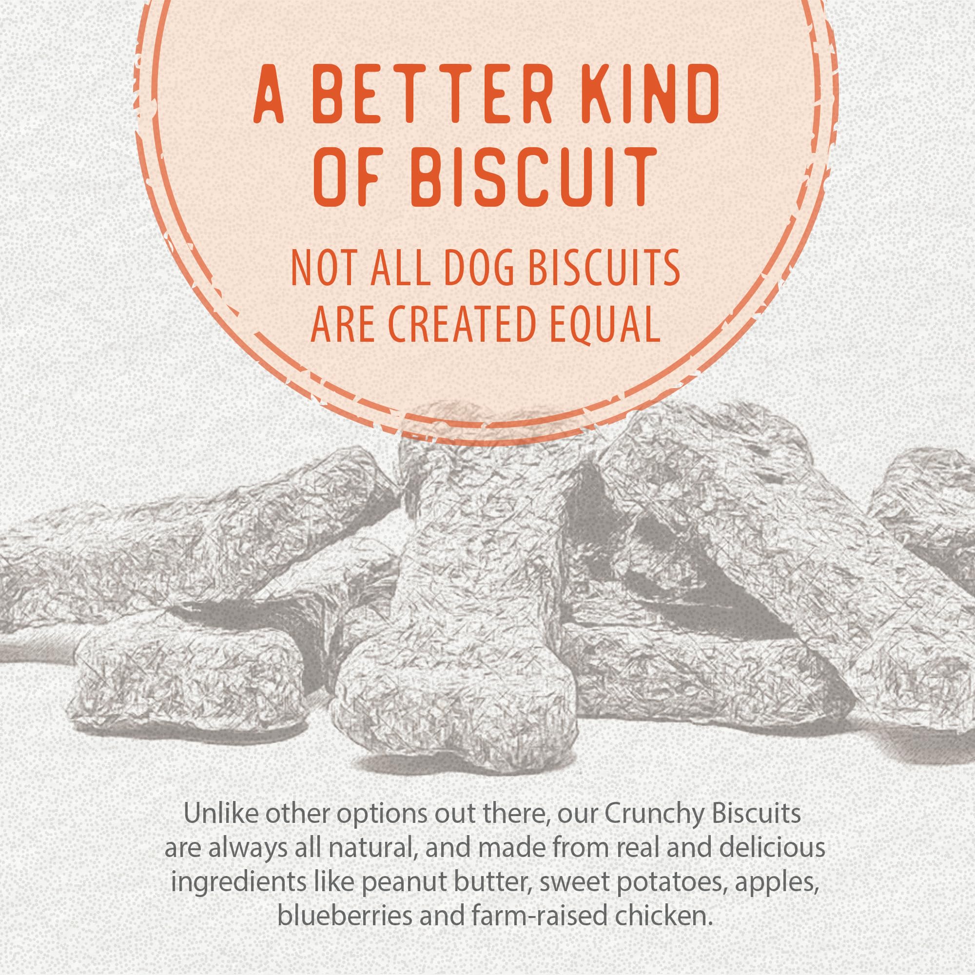 Caledon Farms The Dodo Crunchy Biscuits - Sweet Potato with Peanut Butter 19.5oz, Dog Treats