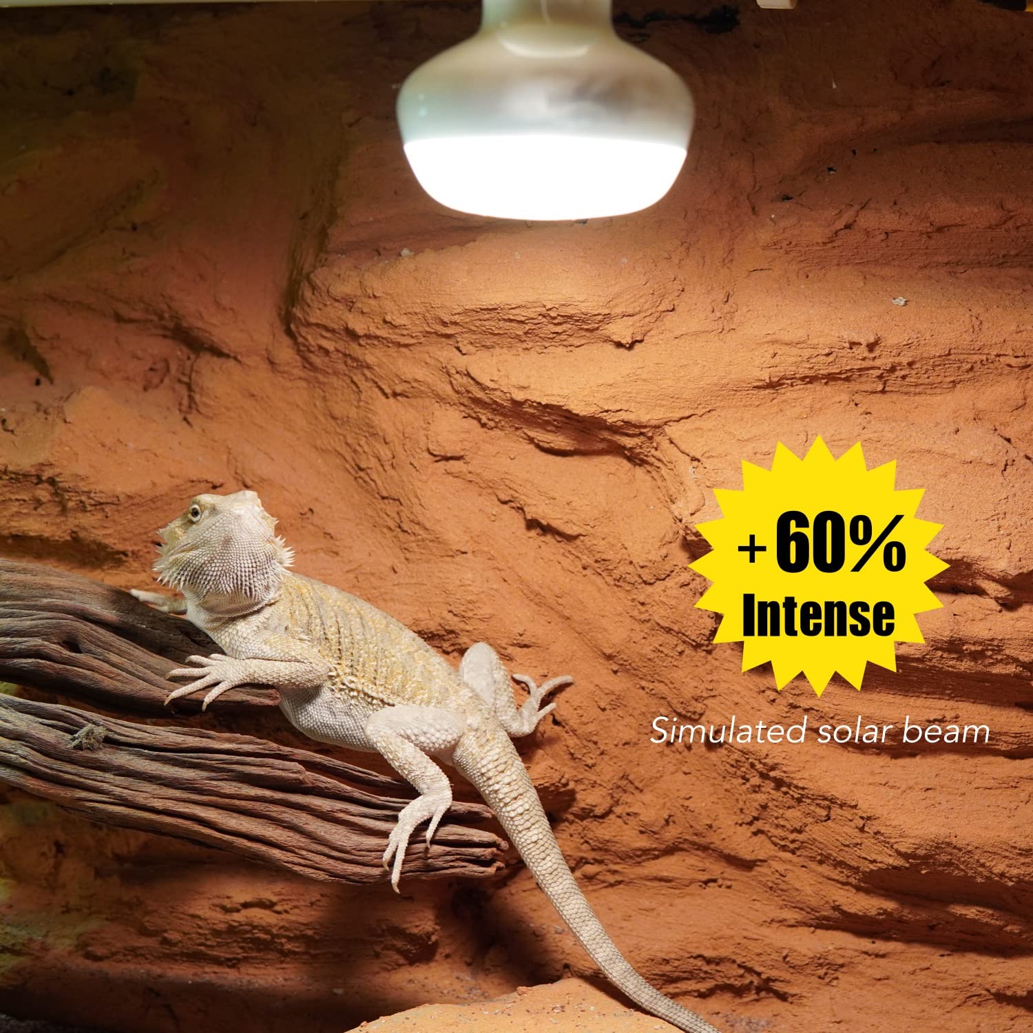 ReptiKing Reptile Heat Lamp, 2 Pack 75W Intense and Infrared Basking Bulbs Light for Reptiles, UVA Daylight Night Red Basking Li