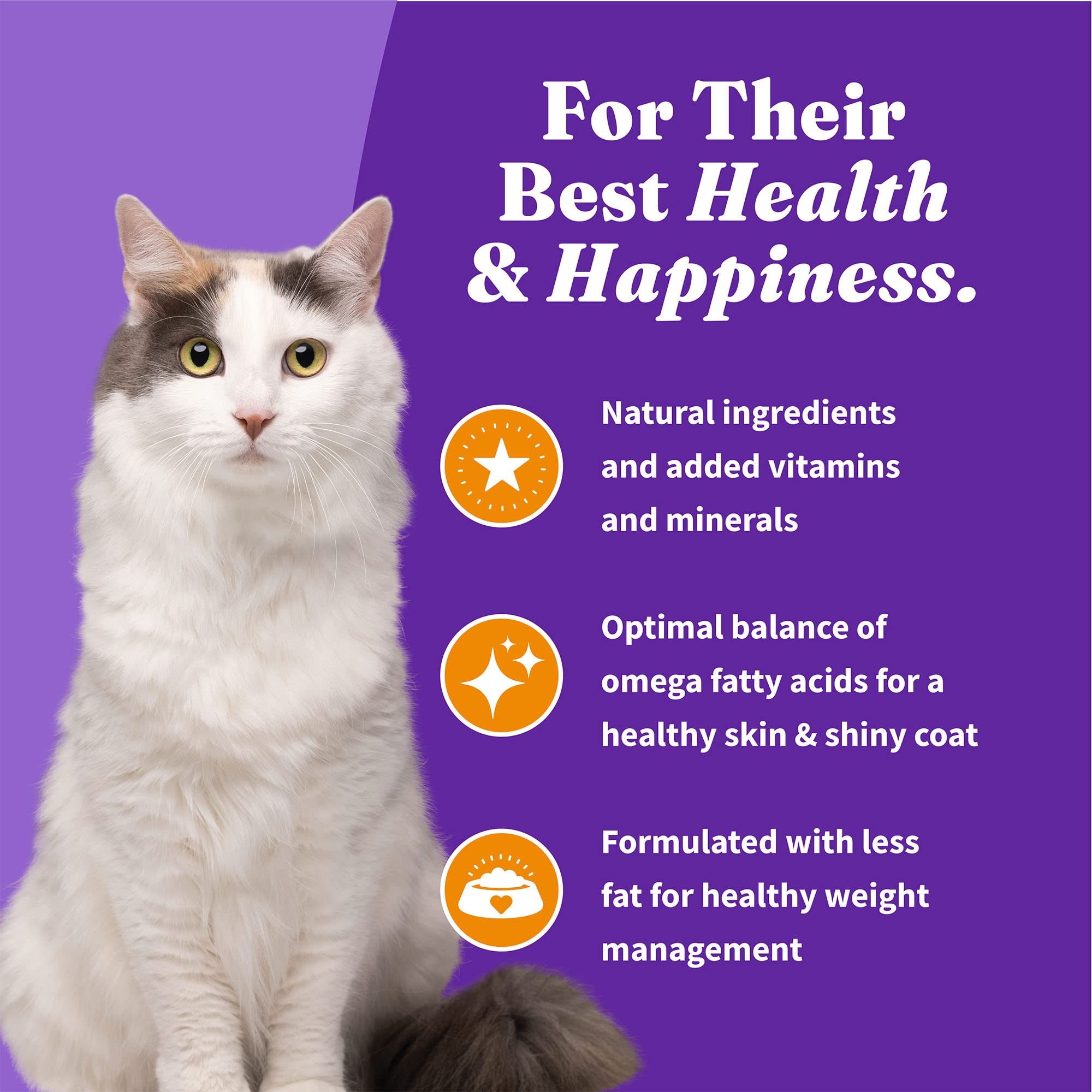 Halo Holistic Cage Free Chicken Cat Food, Grain Free Dry Cat Food, For Healthy Weight Support, Kibble for Indoor Cats, 6 lb Bag