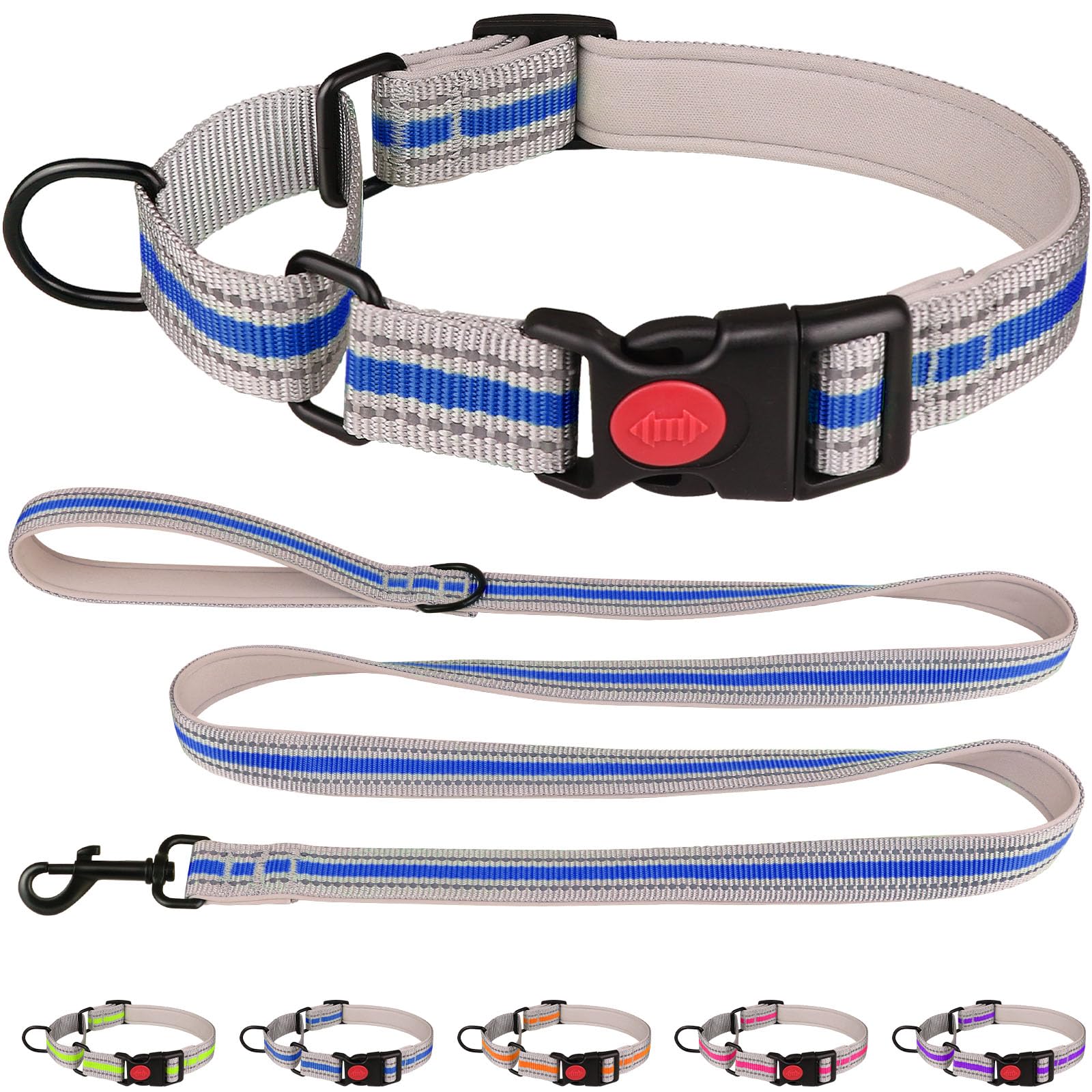 Martingale Collar For Dogs,Soft Neoprene Padded Reflective Martingale Collar And Leash Set Safety Buckle Nylon Martingale Collar