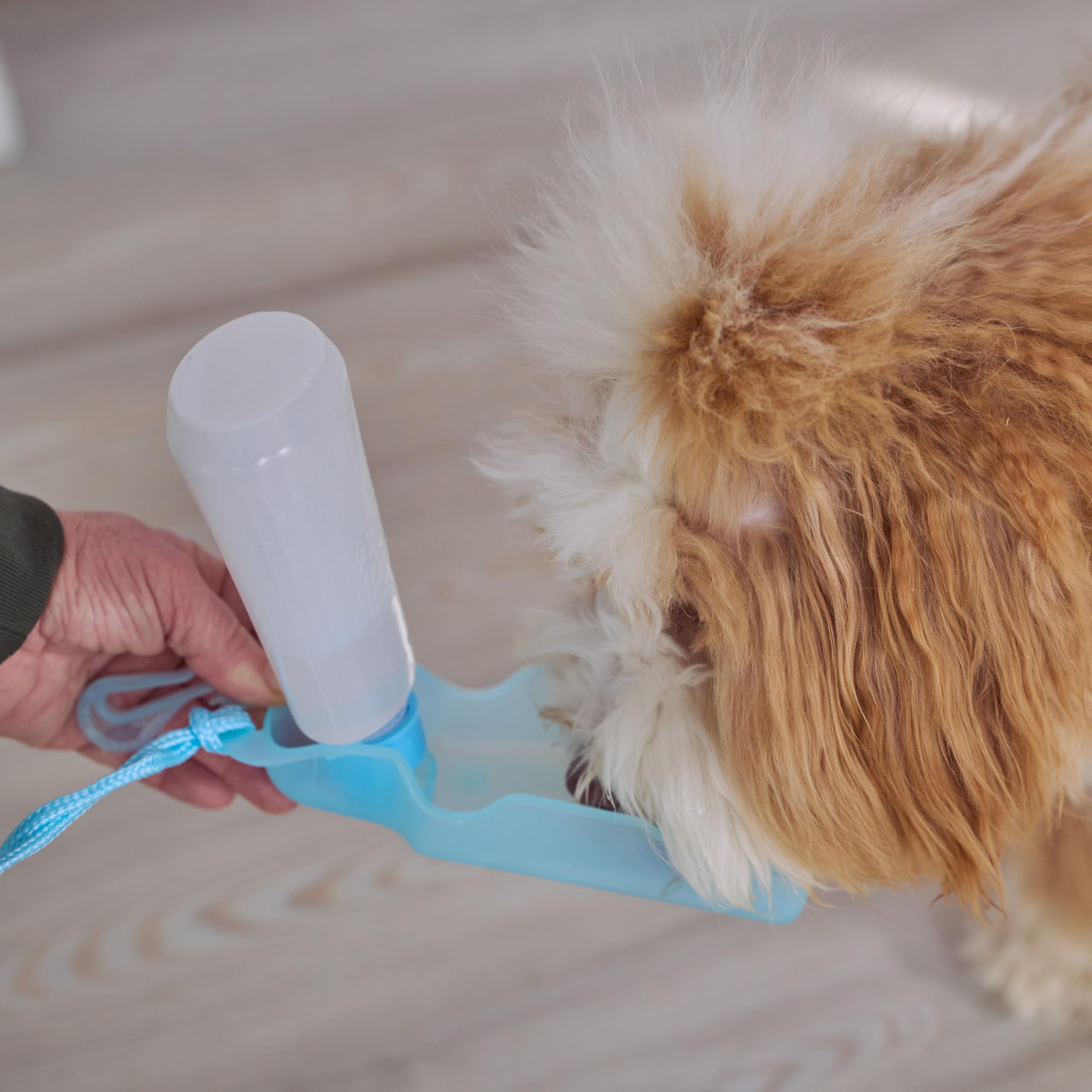 Ethical Pet Handi-Drink 9-Ounce Mini Pet Waterer