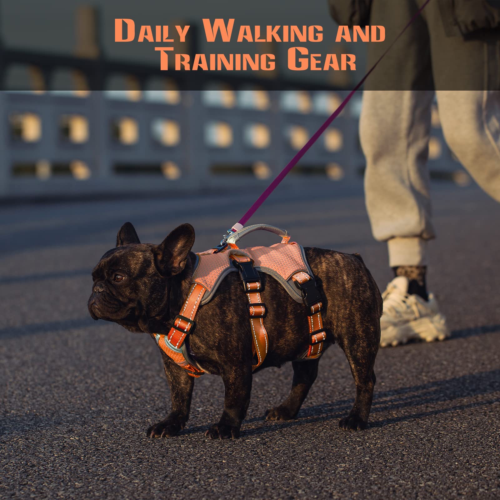 Paworld No Escape Dog Harness, Escape Proof Harness, Fully Reflective Harness With Padded Handle, Breathable,Durable, Adjustable Vest For Medium Dogs Walking, Training, And Running Gear (Orange, M)