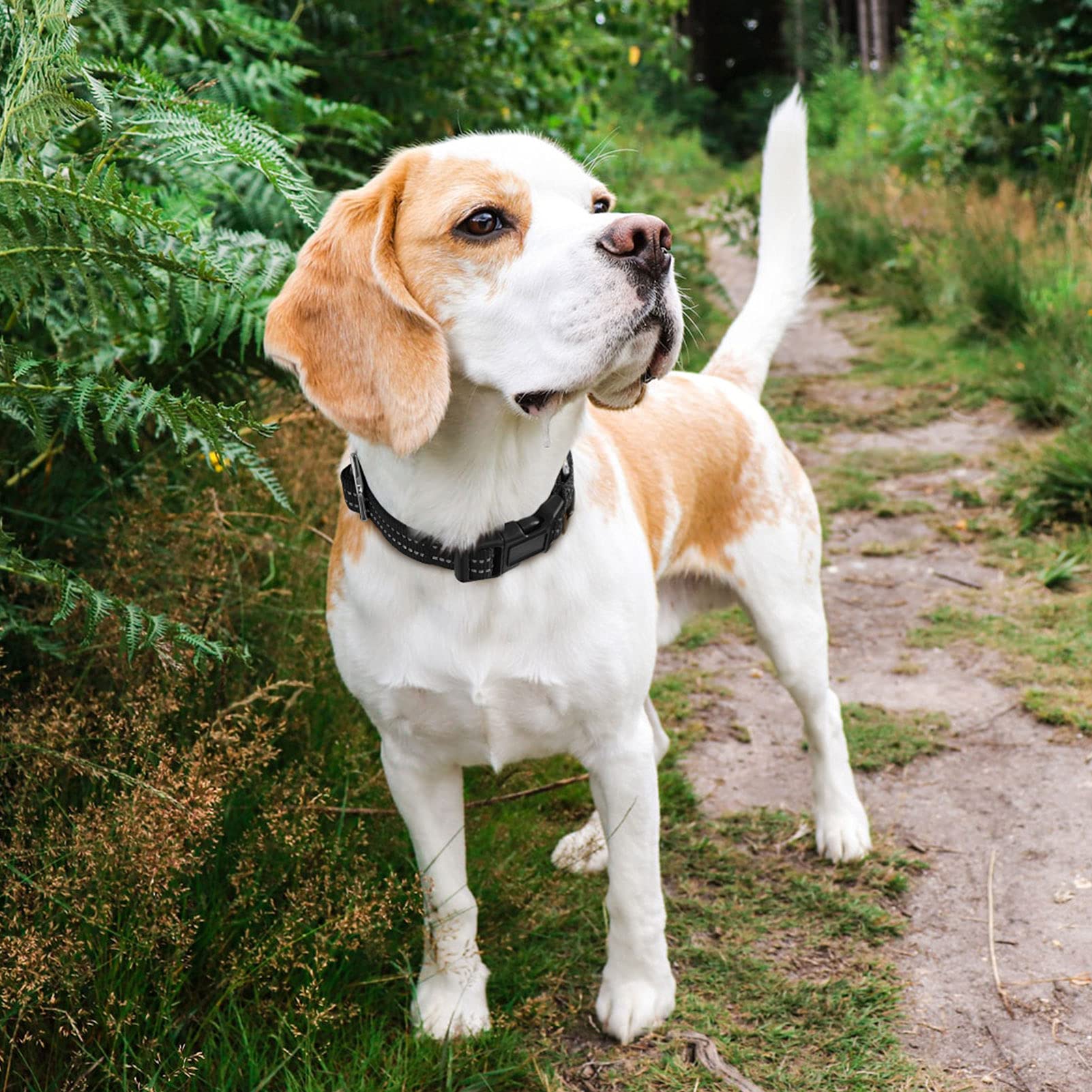 Hikiko Martingale Collar For Dogs Reflective Nylon Dog Collar With Quick Release Buckle Adjustable Training No Slip Dog Collars